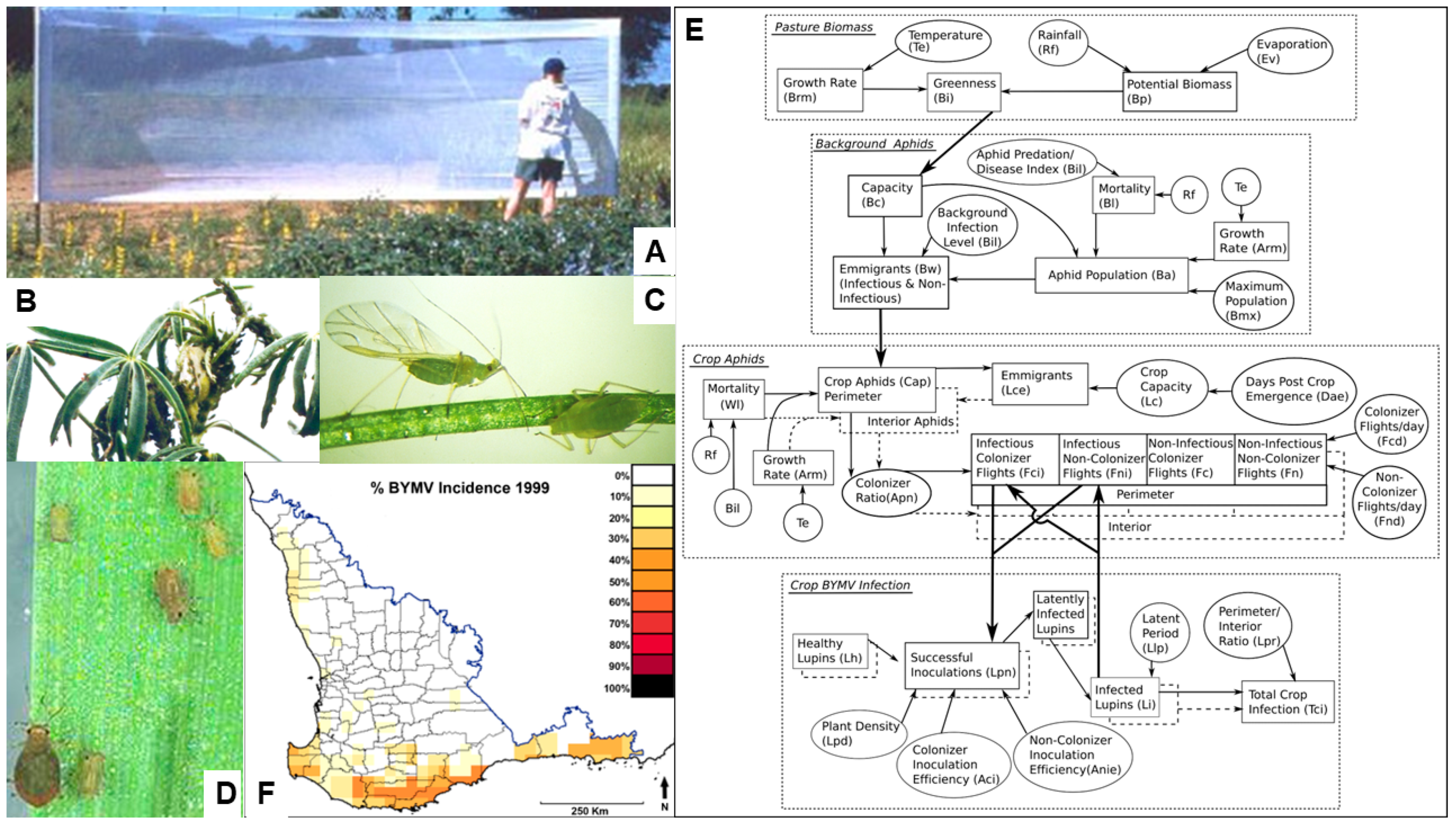Viruses 17 00668 g010