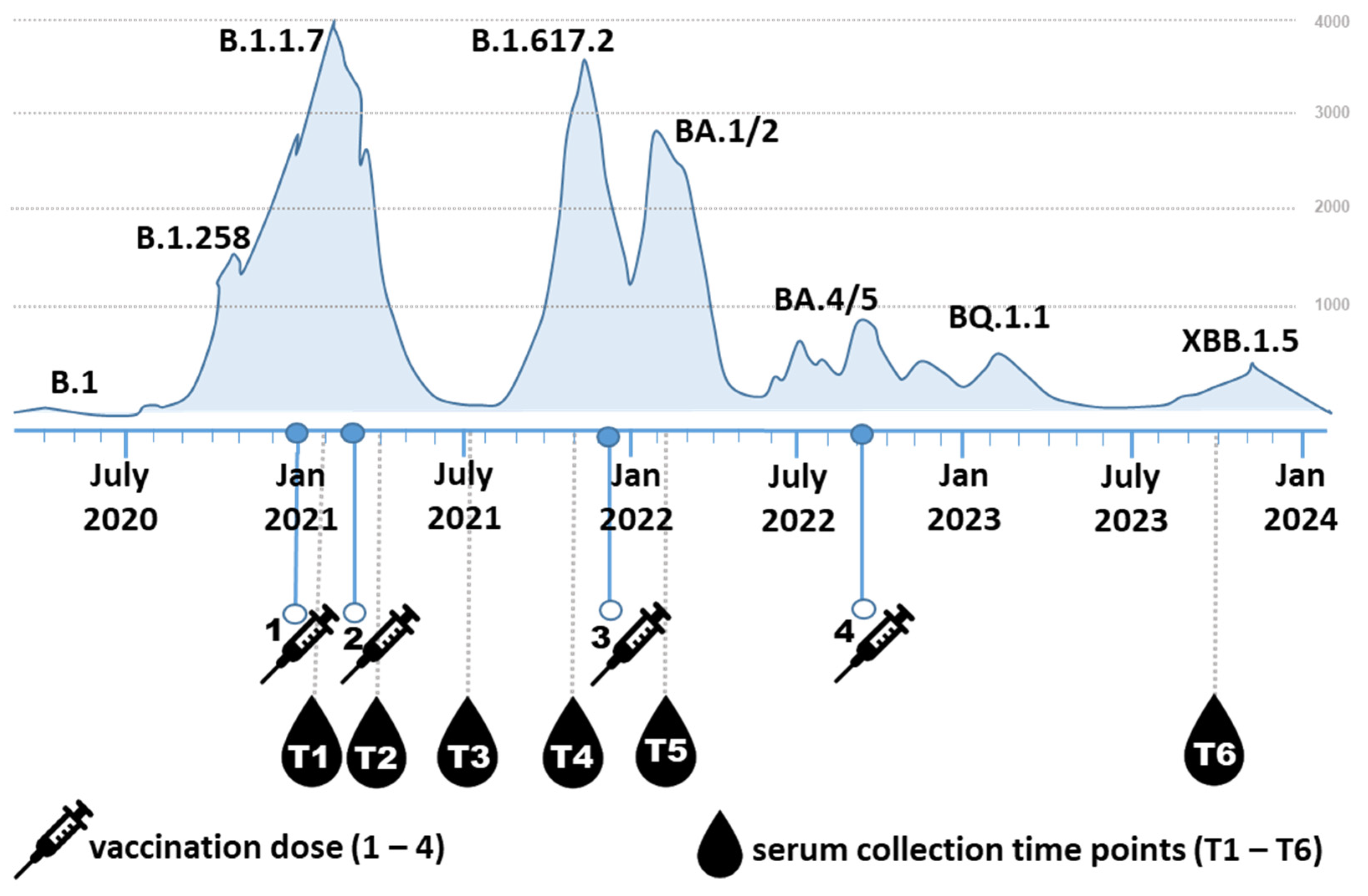 Viruses 17 00675 g001