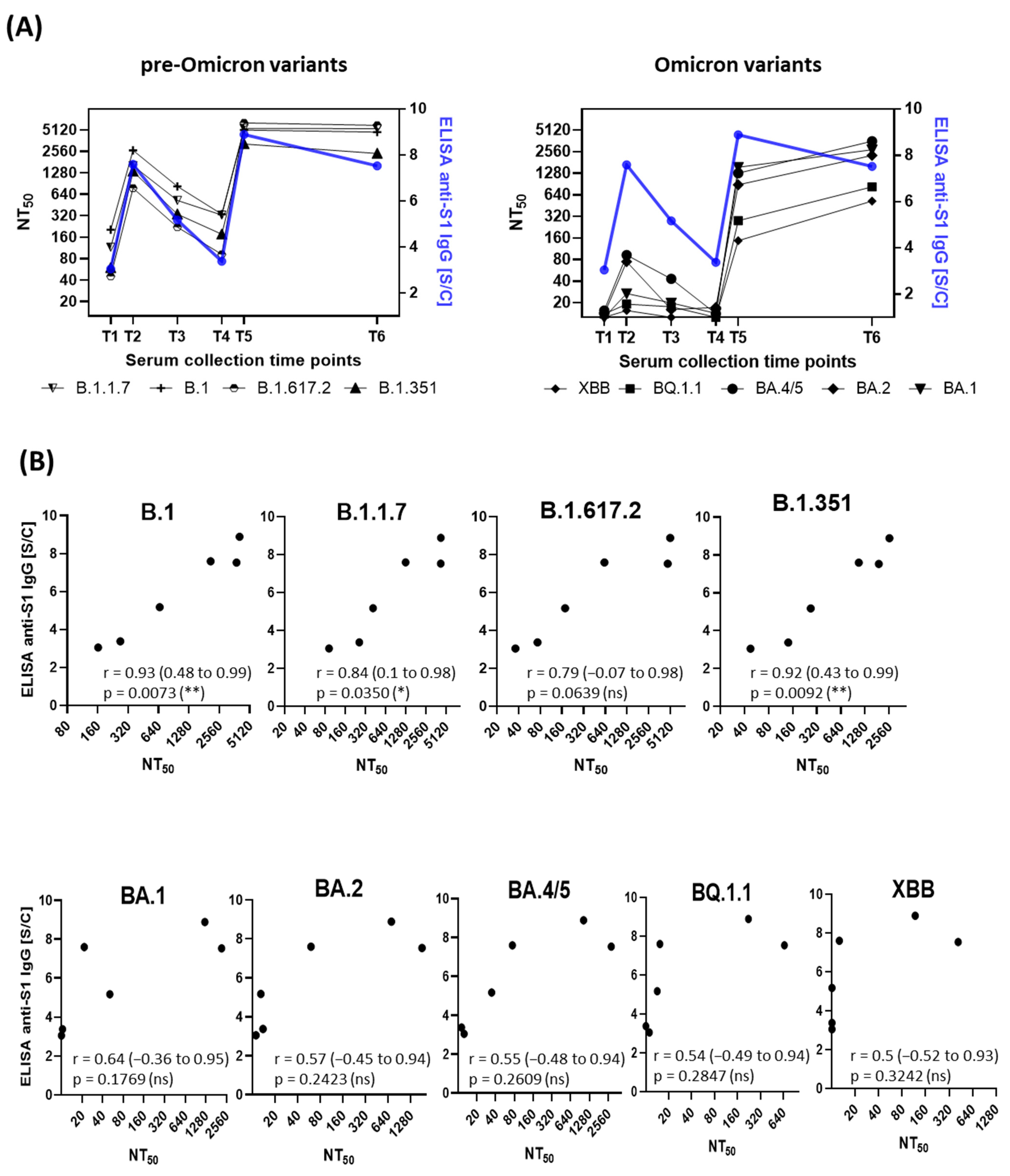 Viruses 17 00675 g004