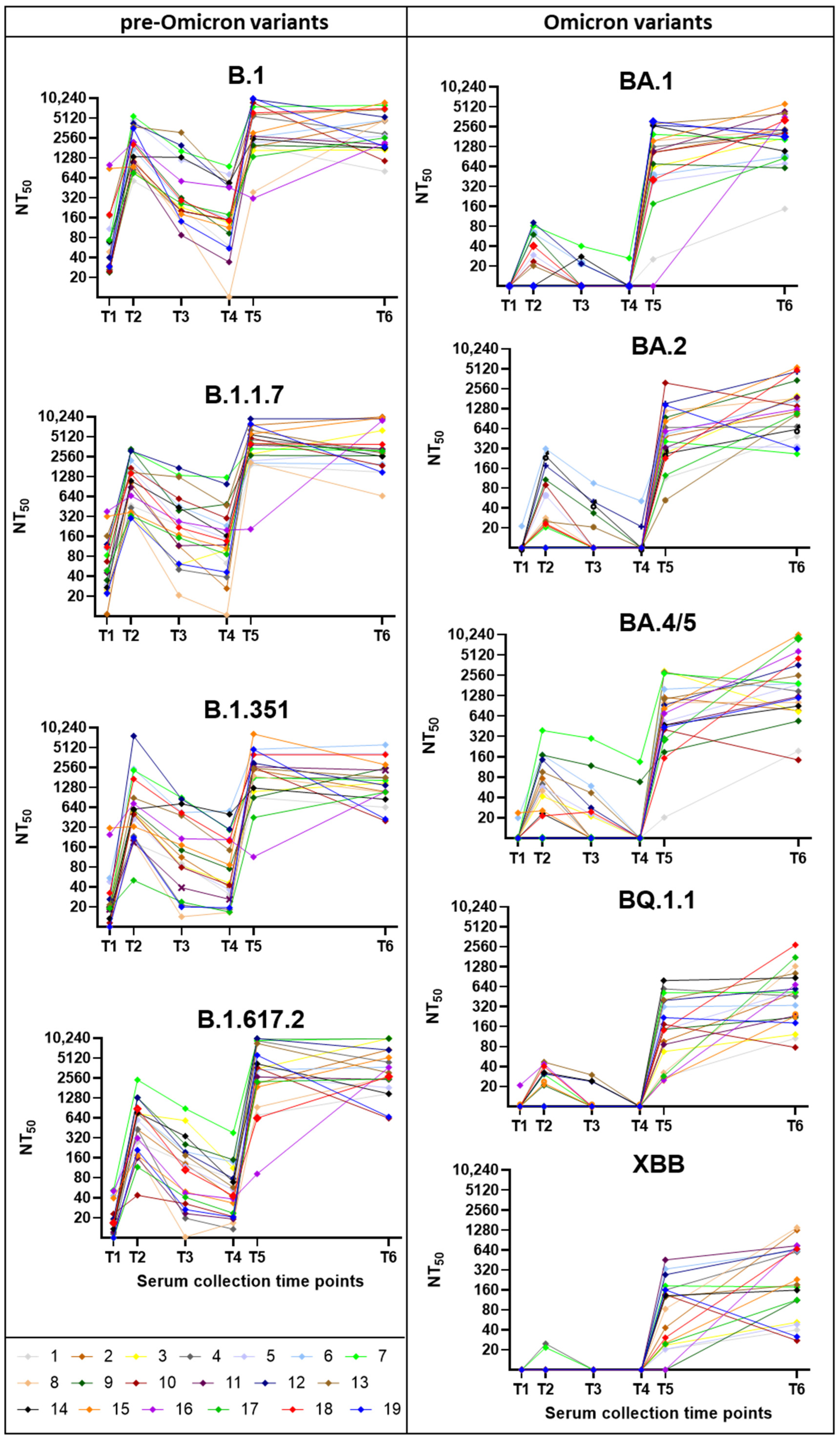 Viruses 17 00675 g005