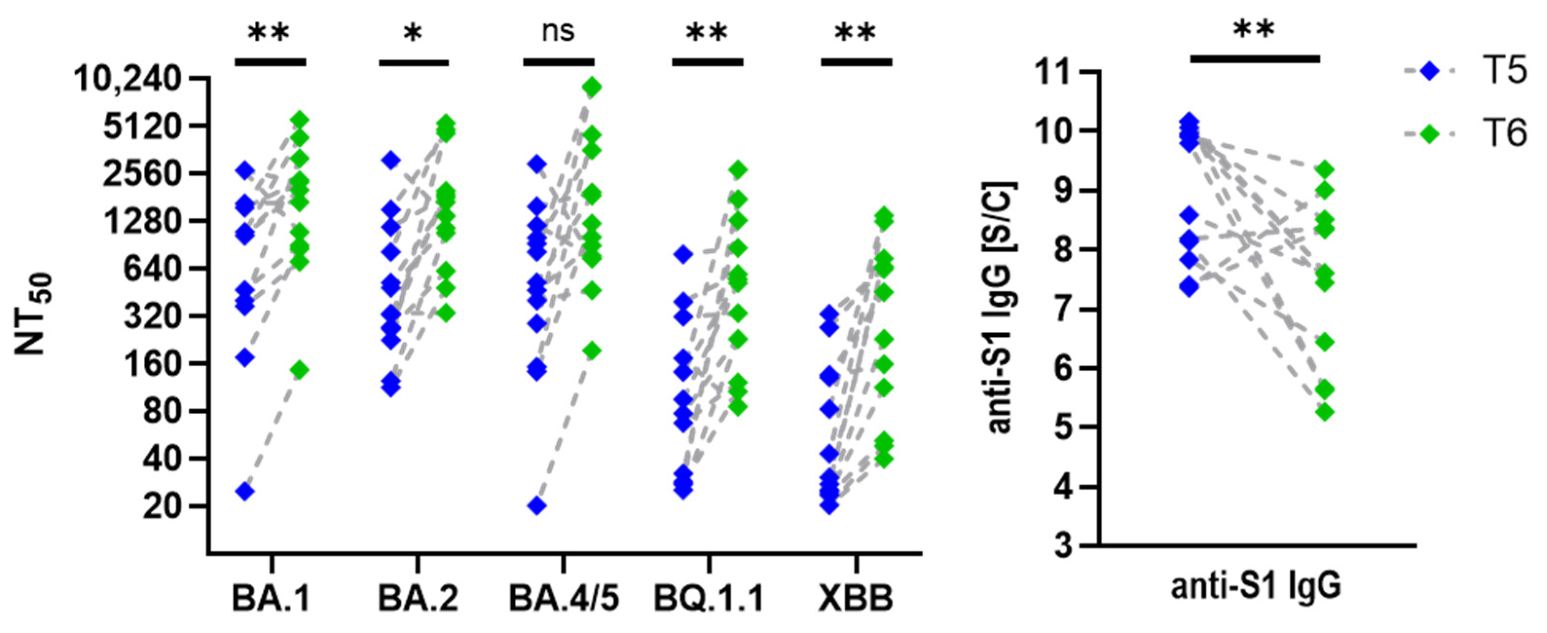 Viruses 17 00675 g007