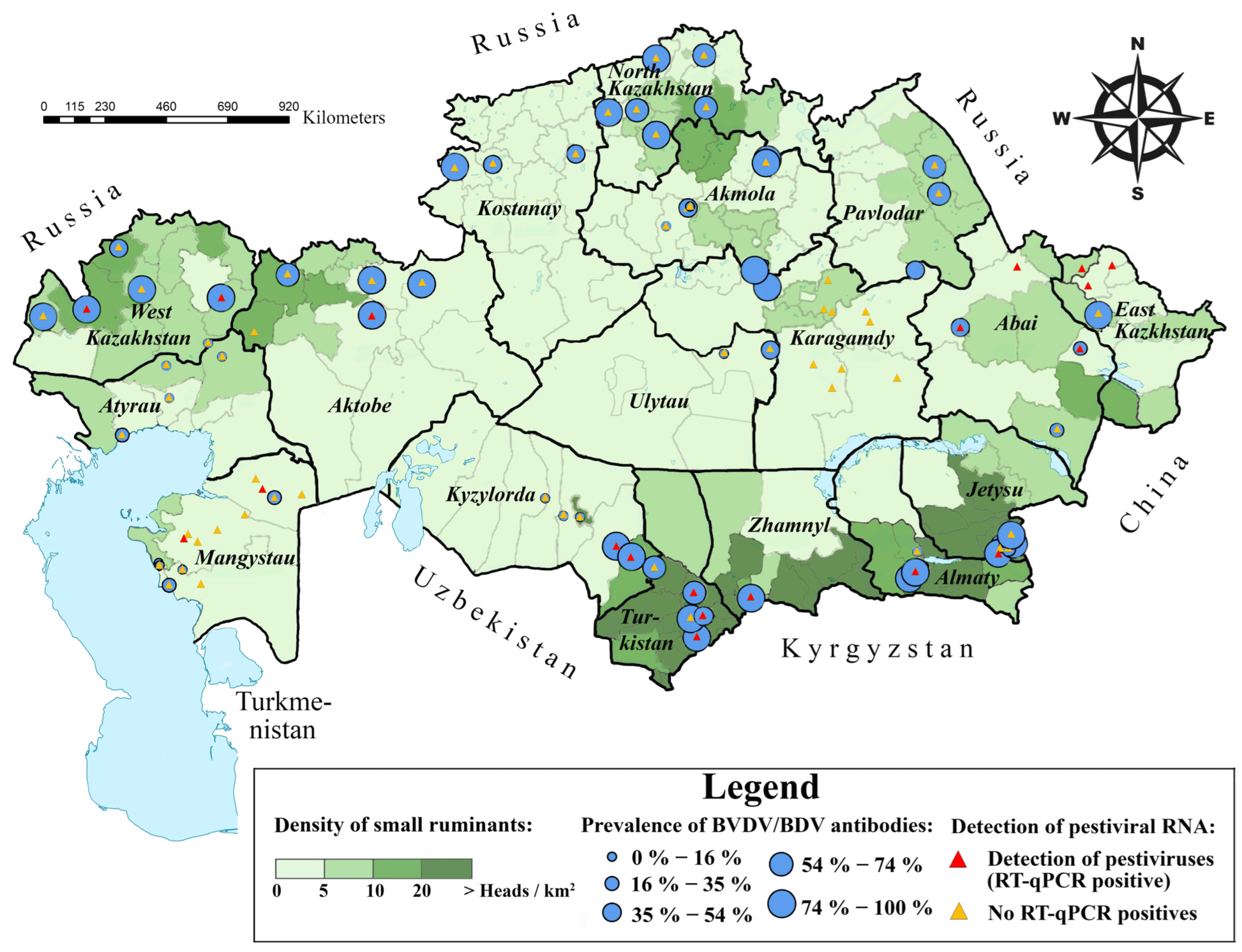 Viruses 17 00676 g001
