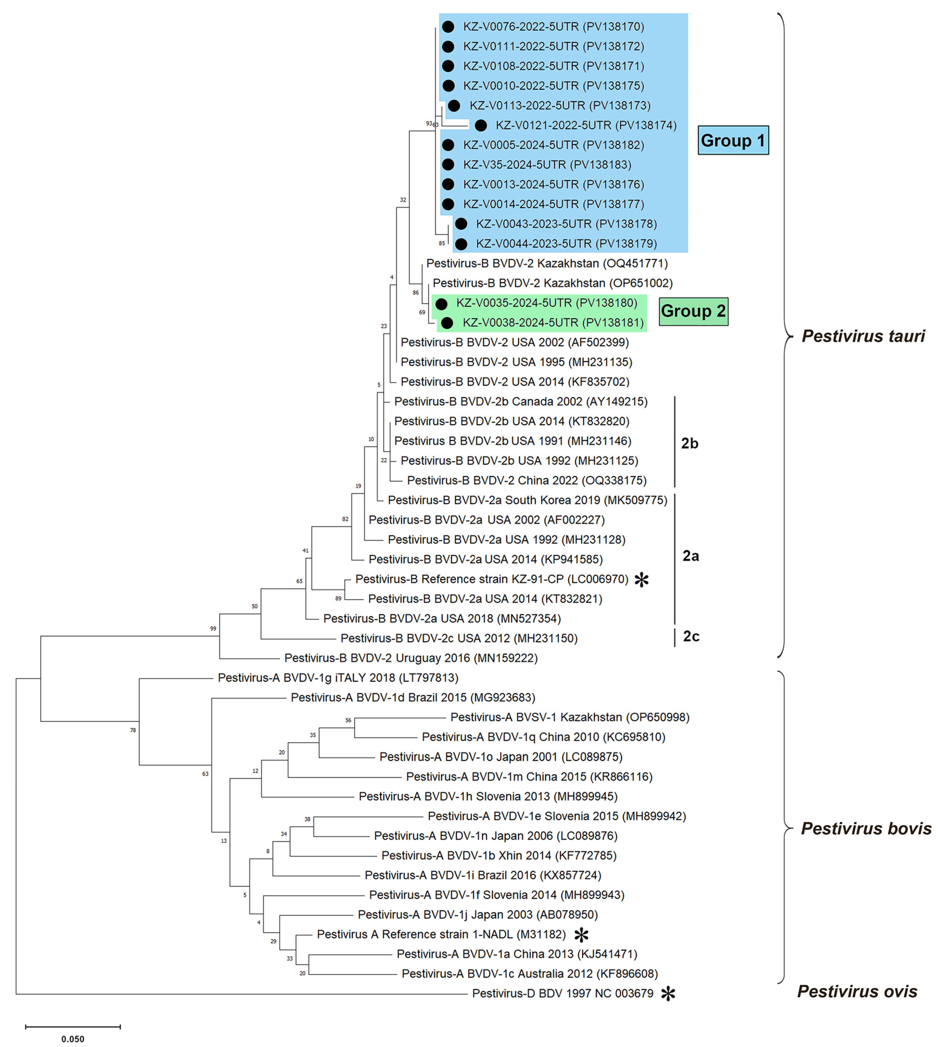 Viruses 17 00676 g003