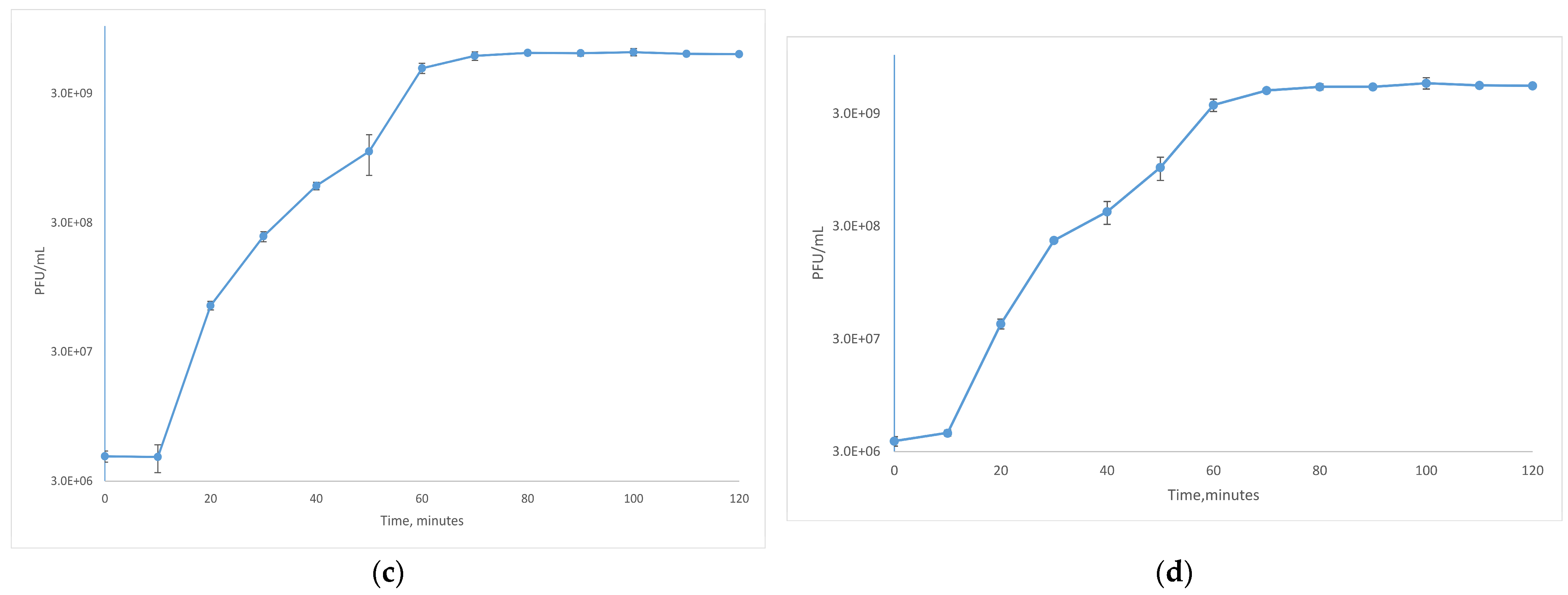 Viruses 17 00677 g002b