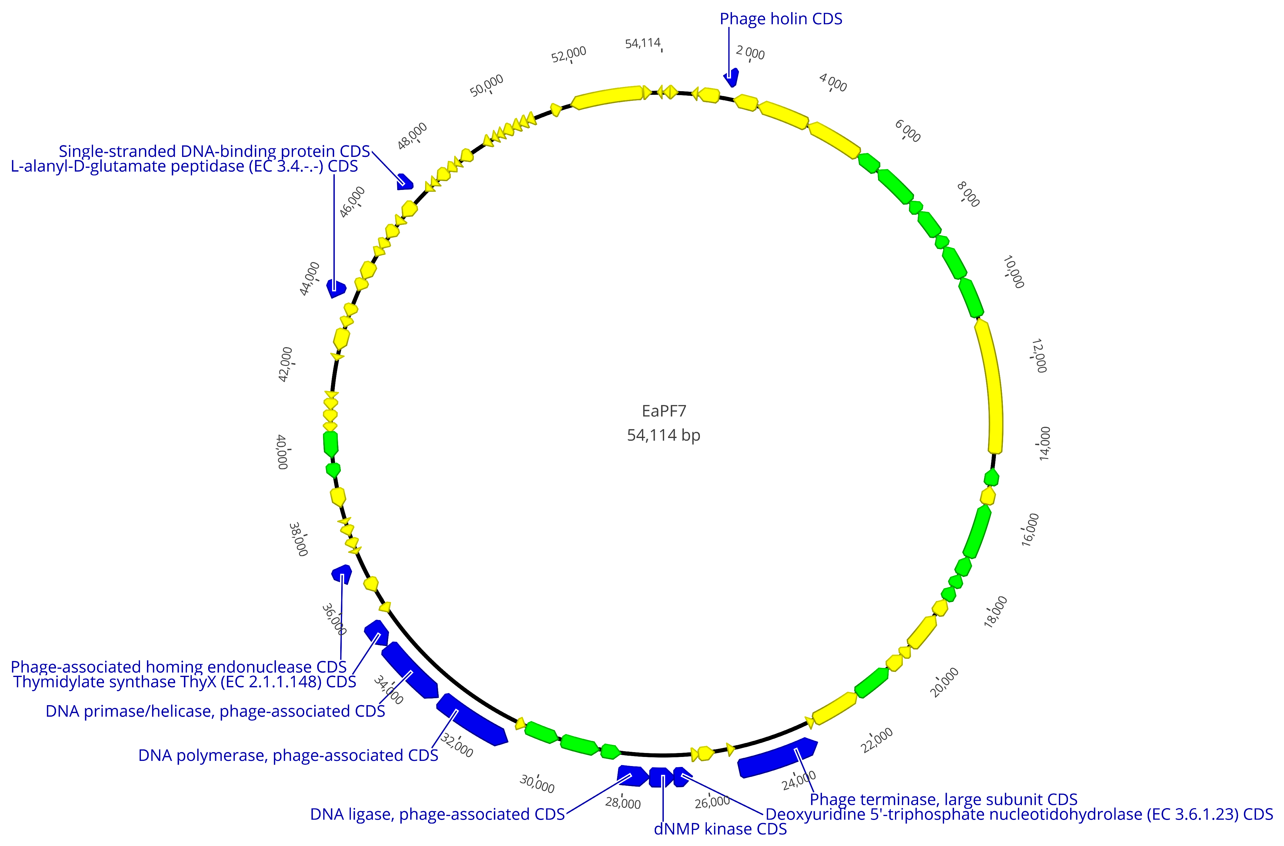 Viruses 17 00677 g006