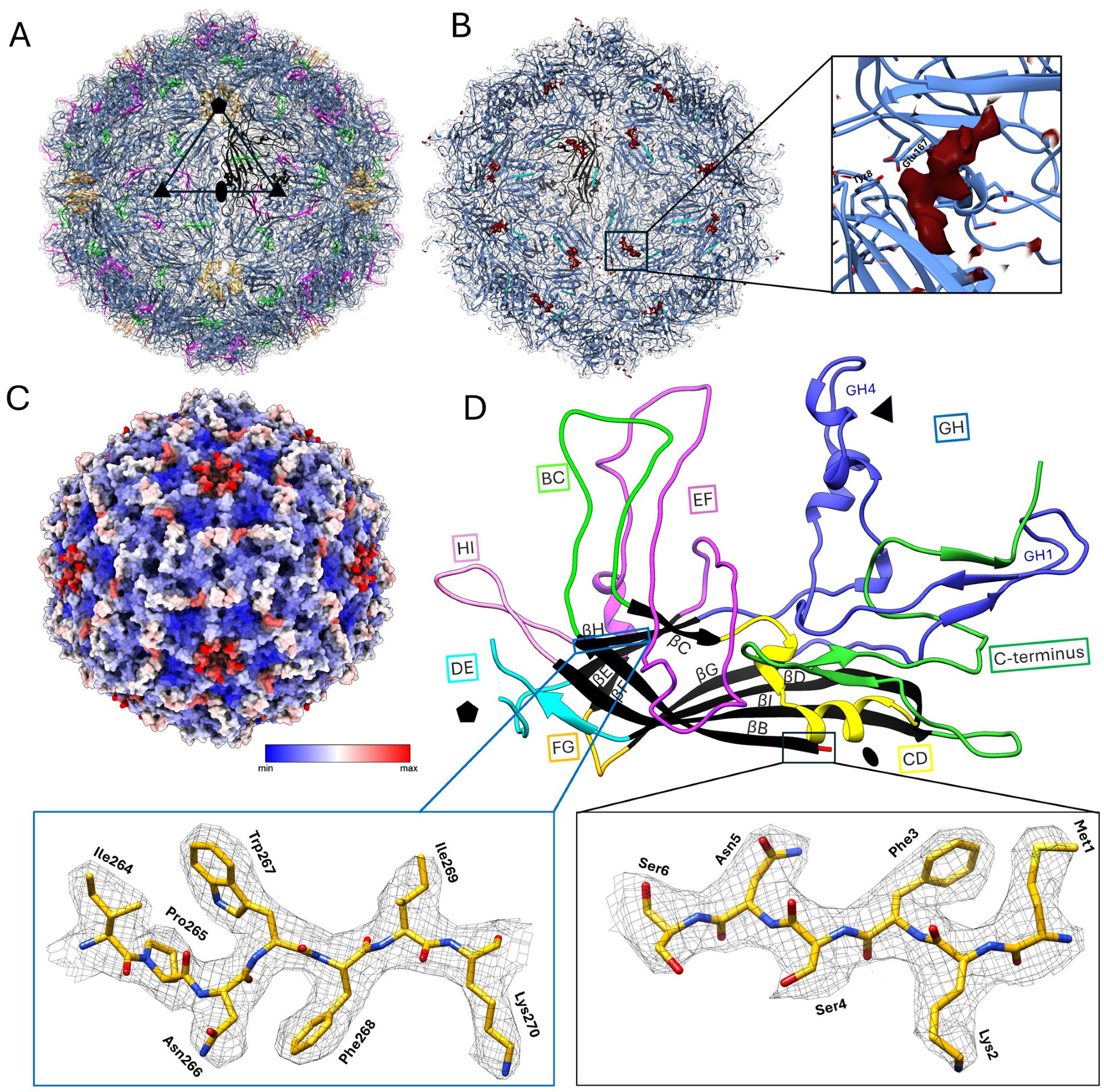 Viruses 17 00679 g002