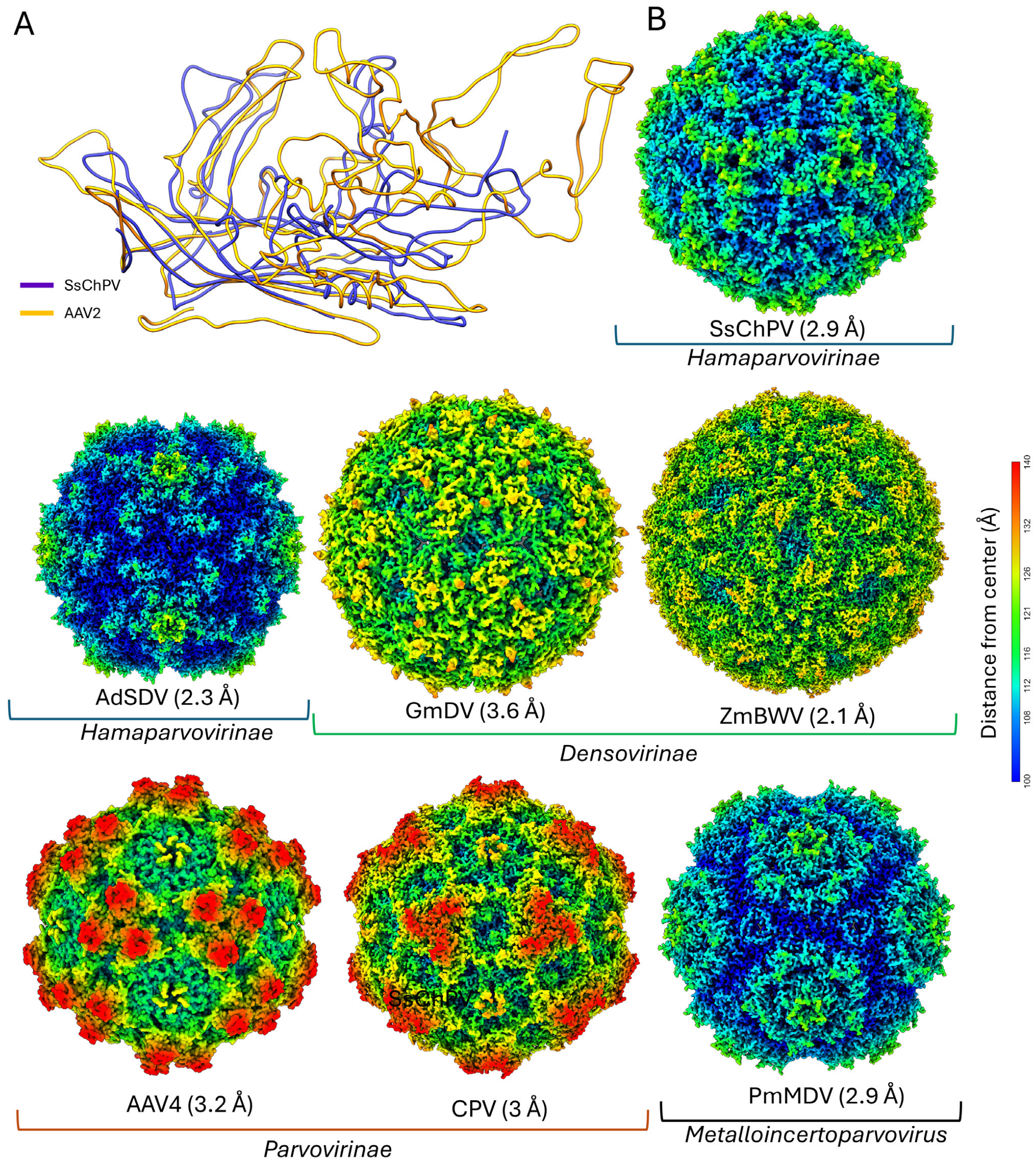Viruses 17 00679 g003