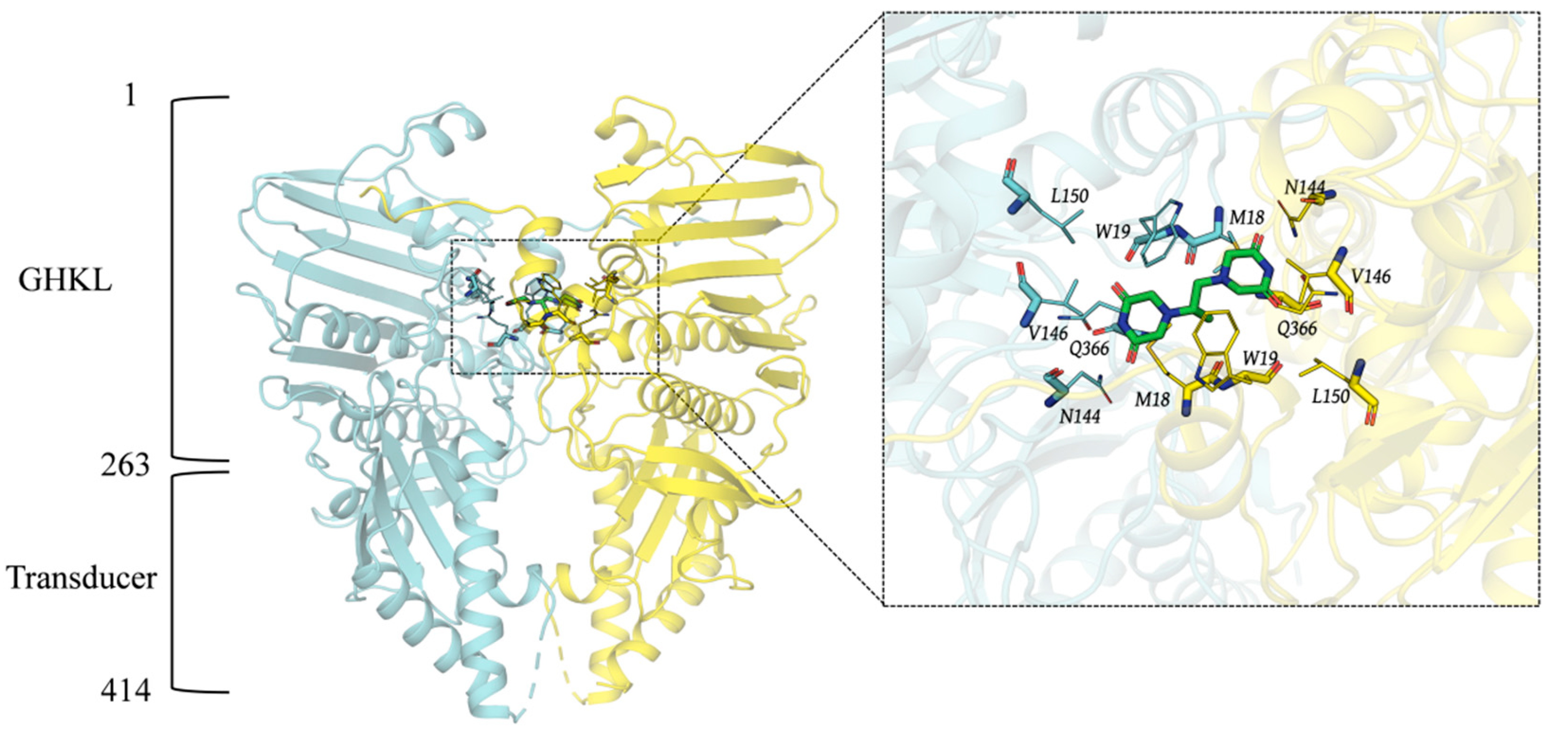 Viruses 17 00681 g001