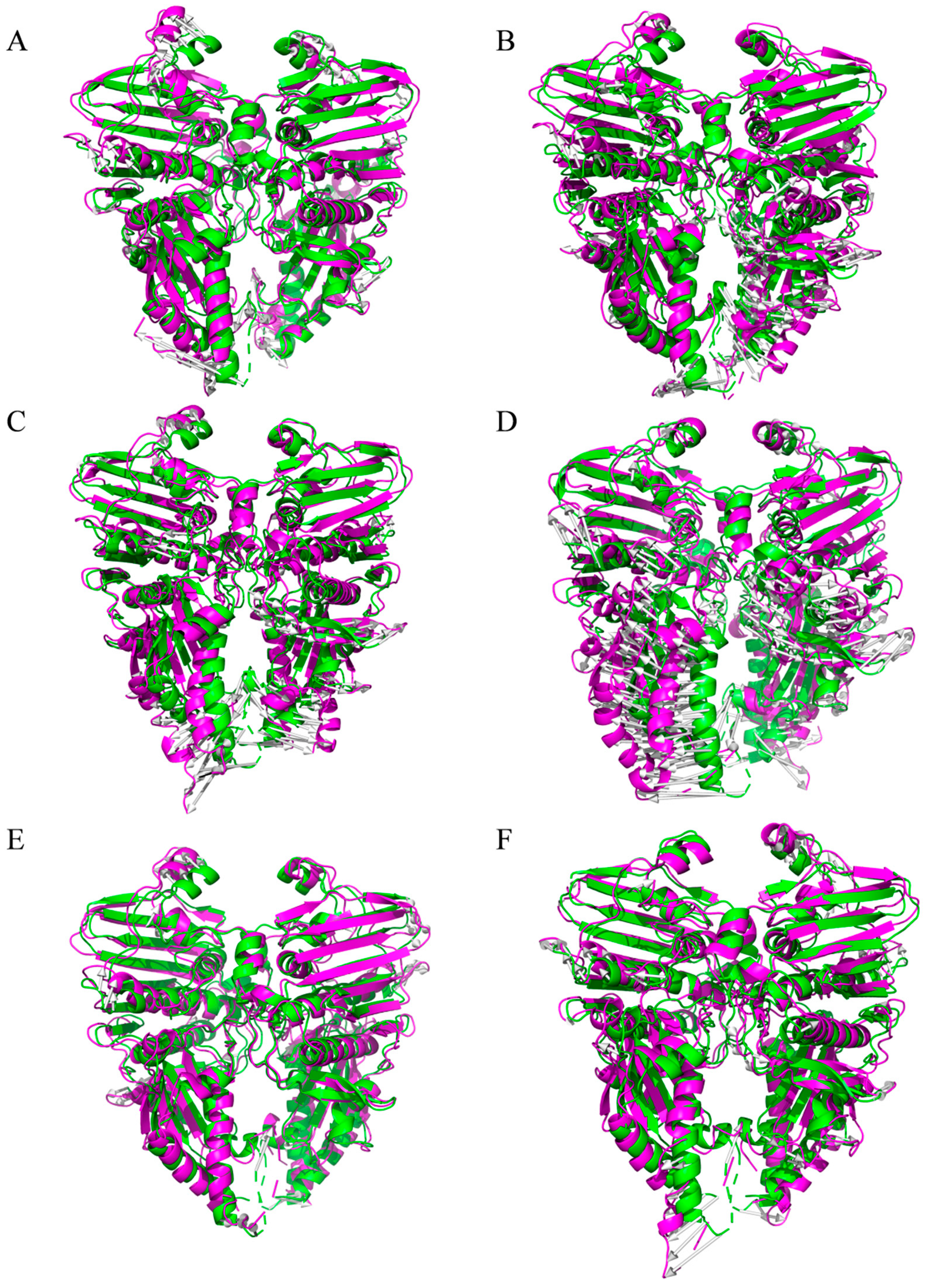 Viruses 17 00681 g007