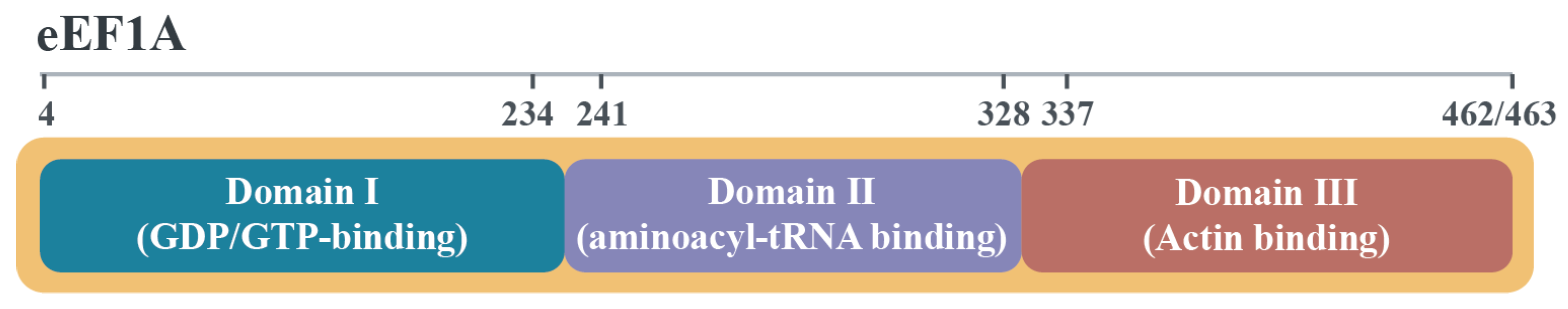 Viruses 17 00682 g001