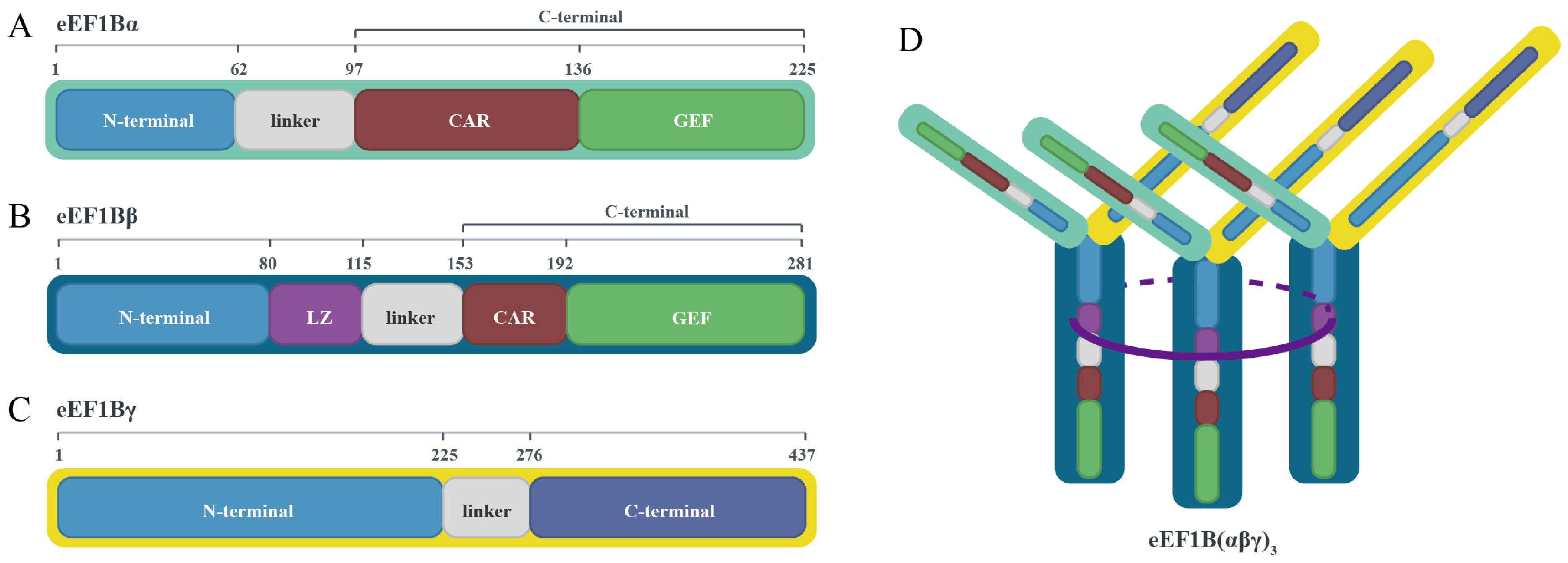 Viruses 17 00682 g002
