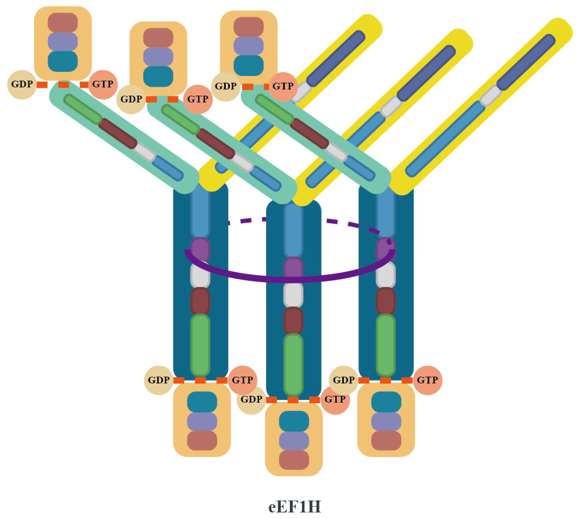 Viruses 17 00682 g003