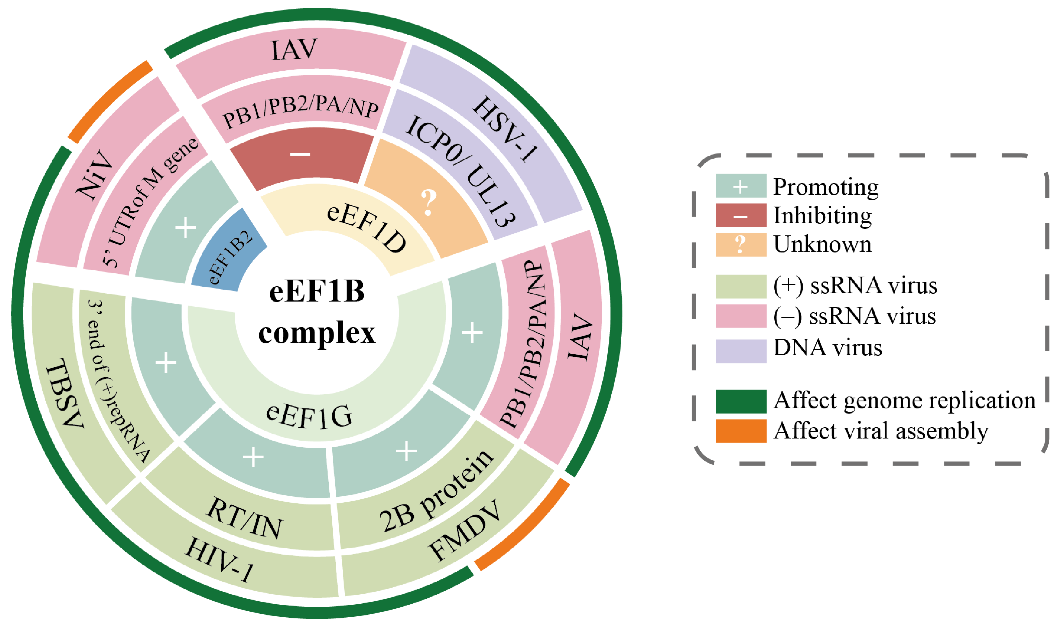 Viruses 17 00682 g005