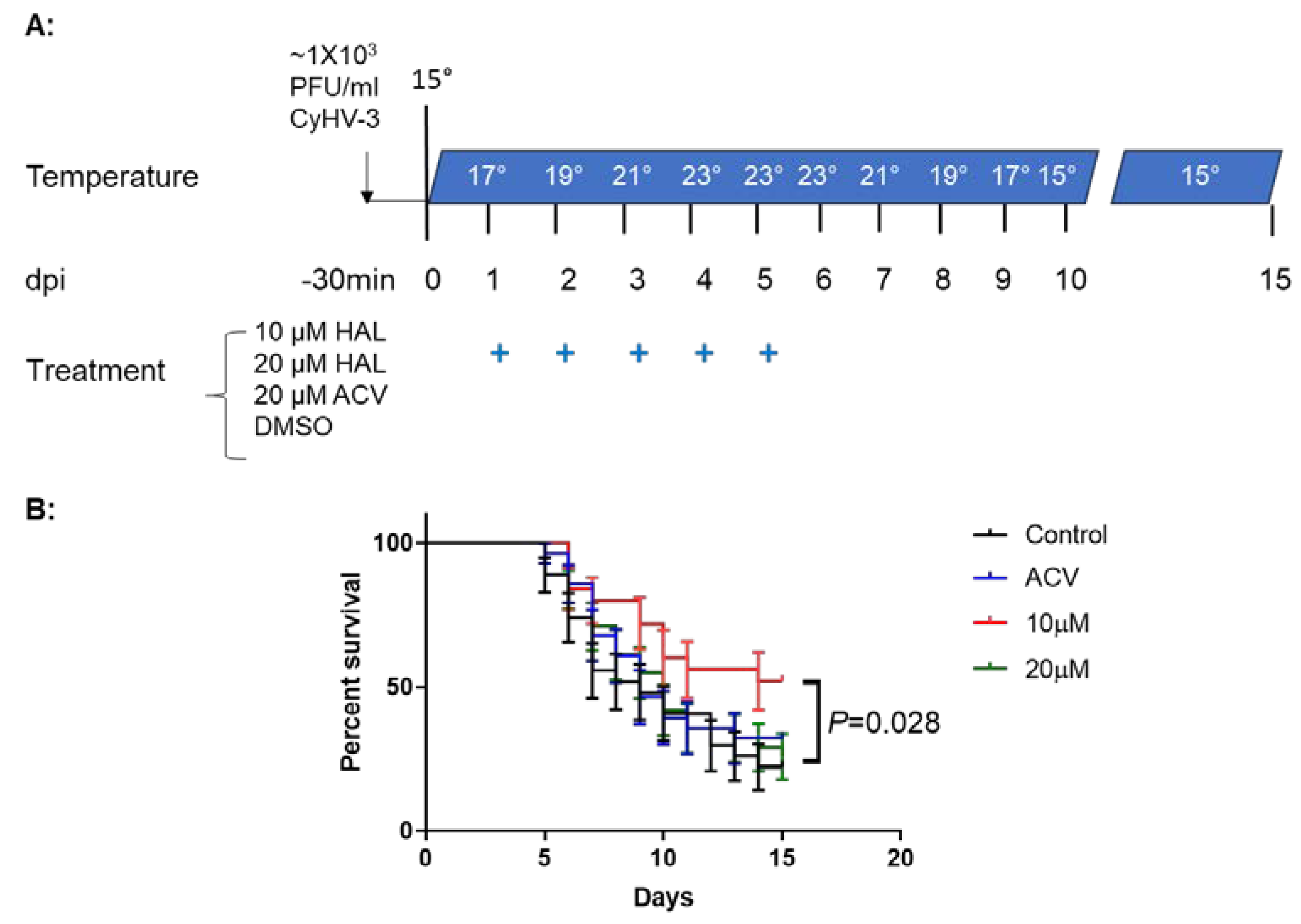 Viruses 17 00687 g005