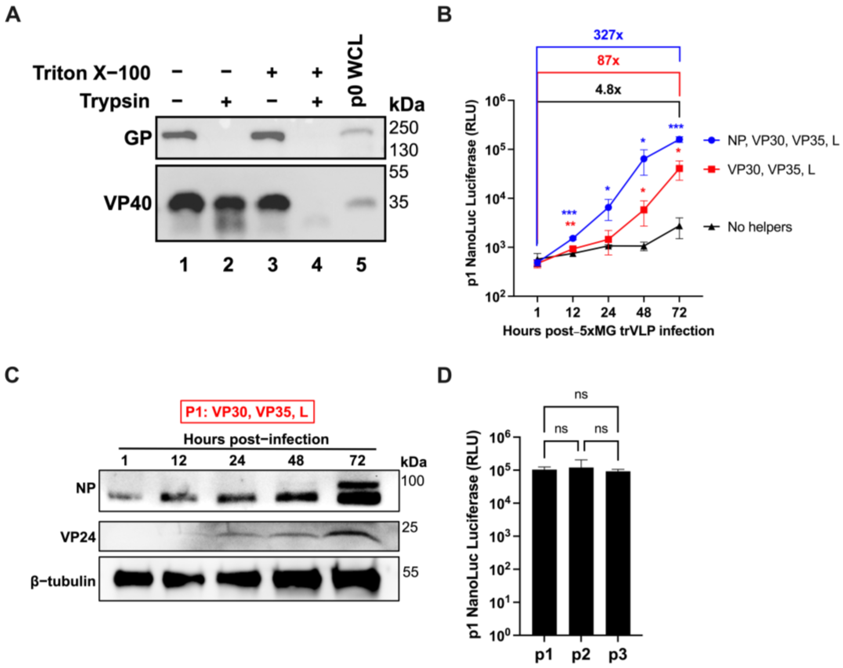 Viruses 17 00688 g003
