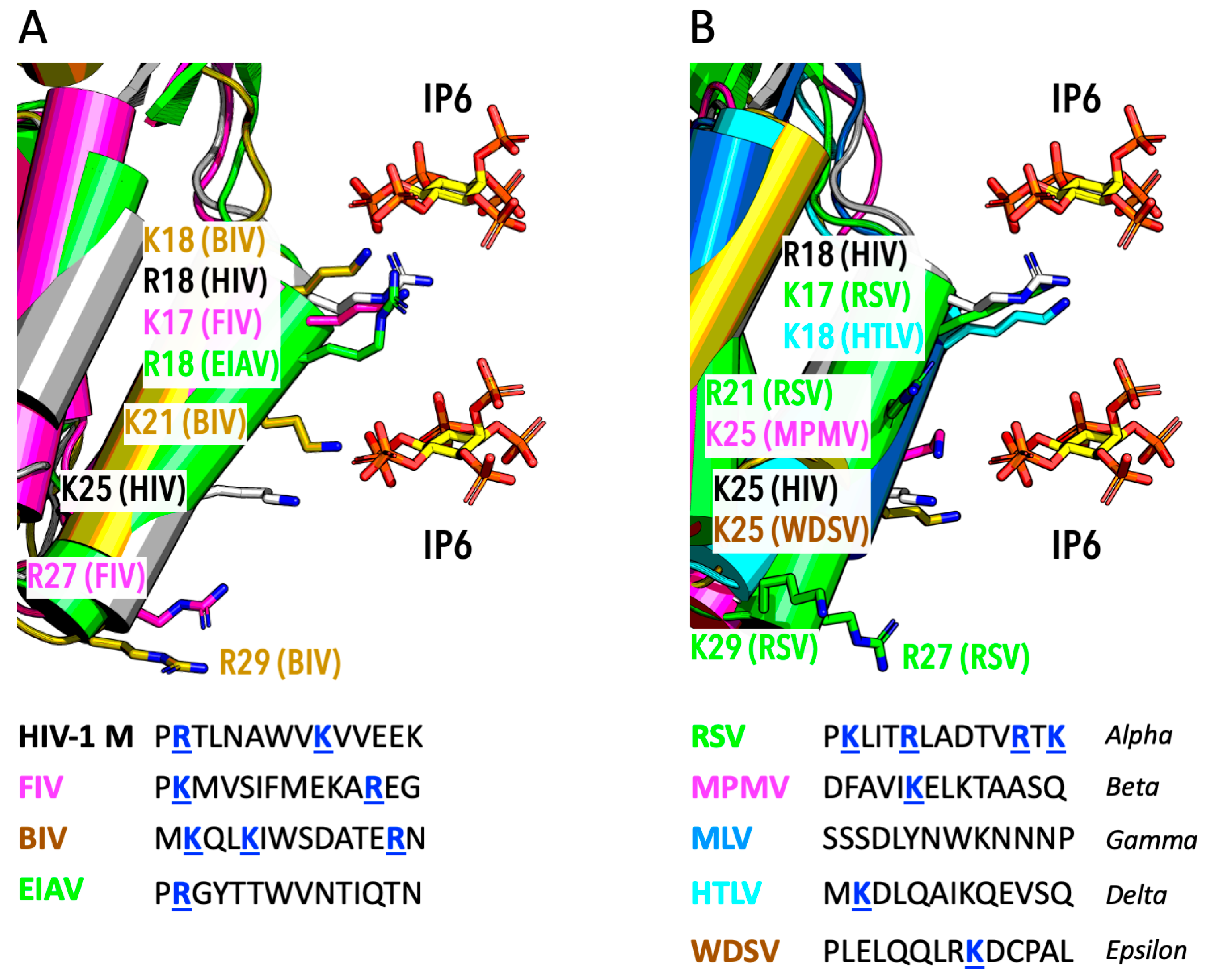 Viruses 17 00689 g004