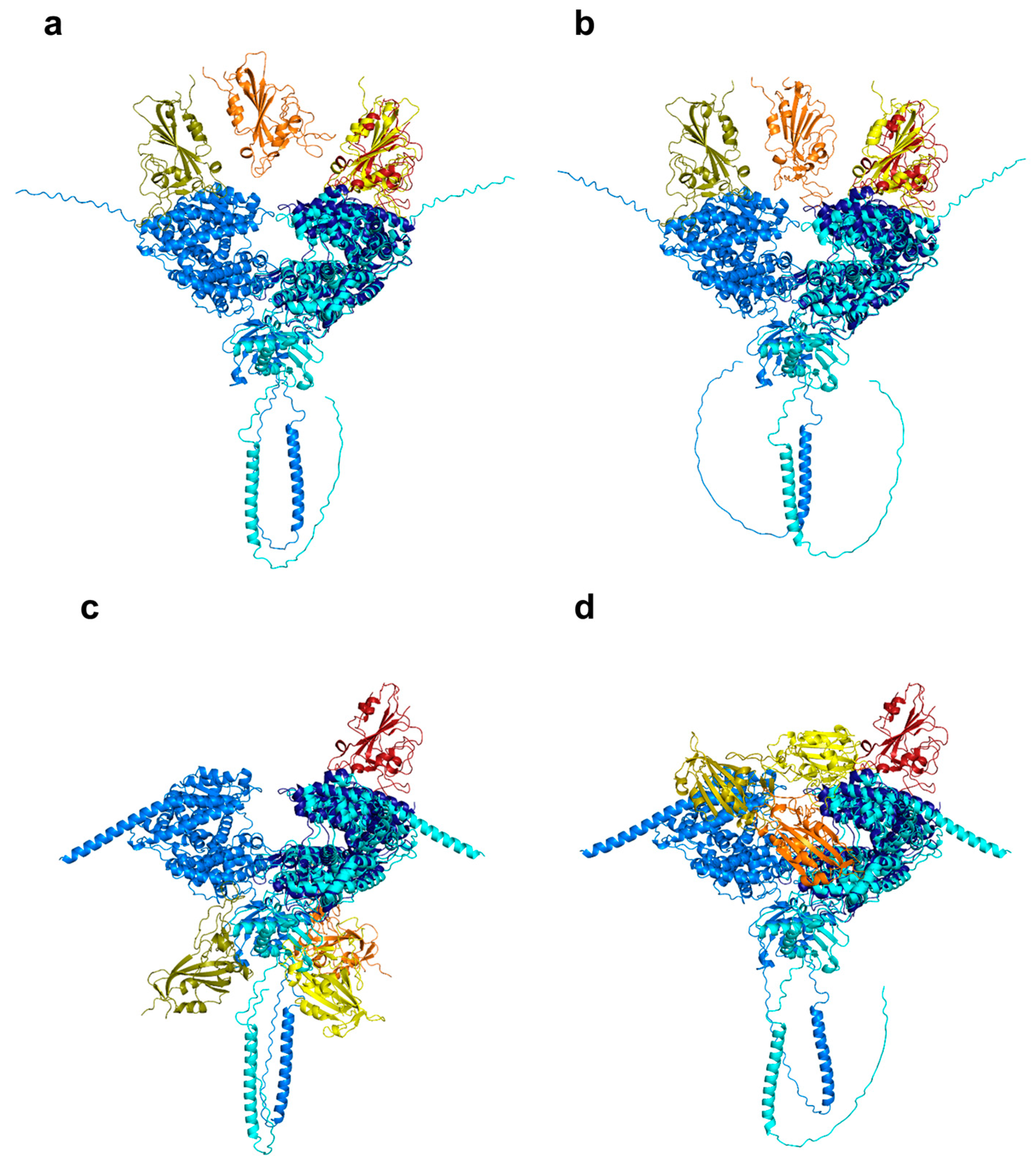 Viruses 17 00691 g002