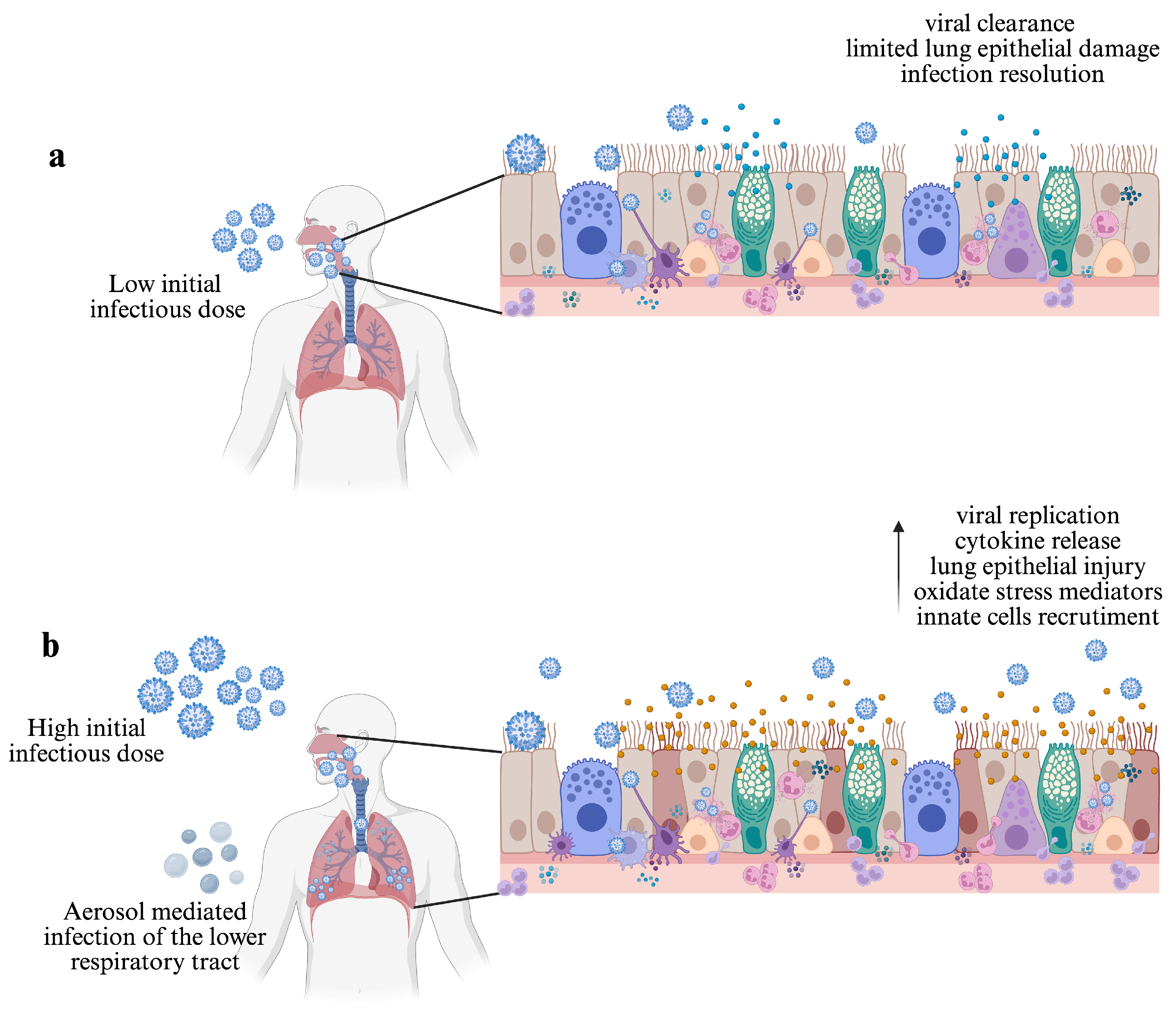 Viruses 17 00694 g001 Viruses 17 00694 g001