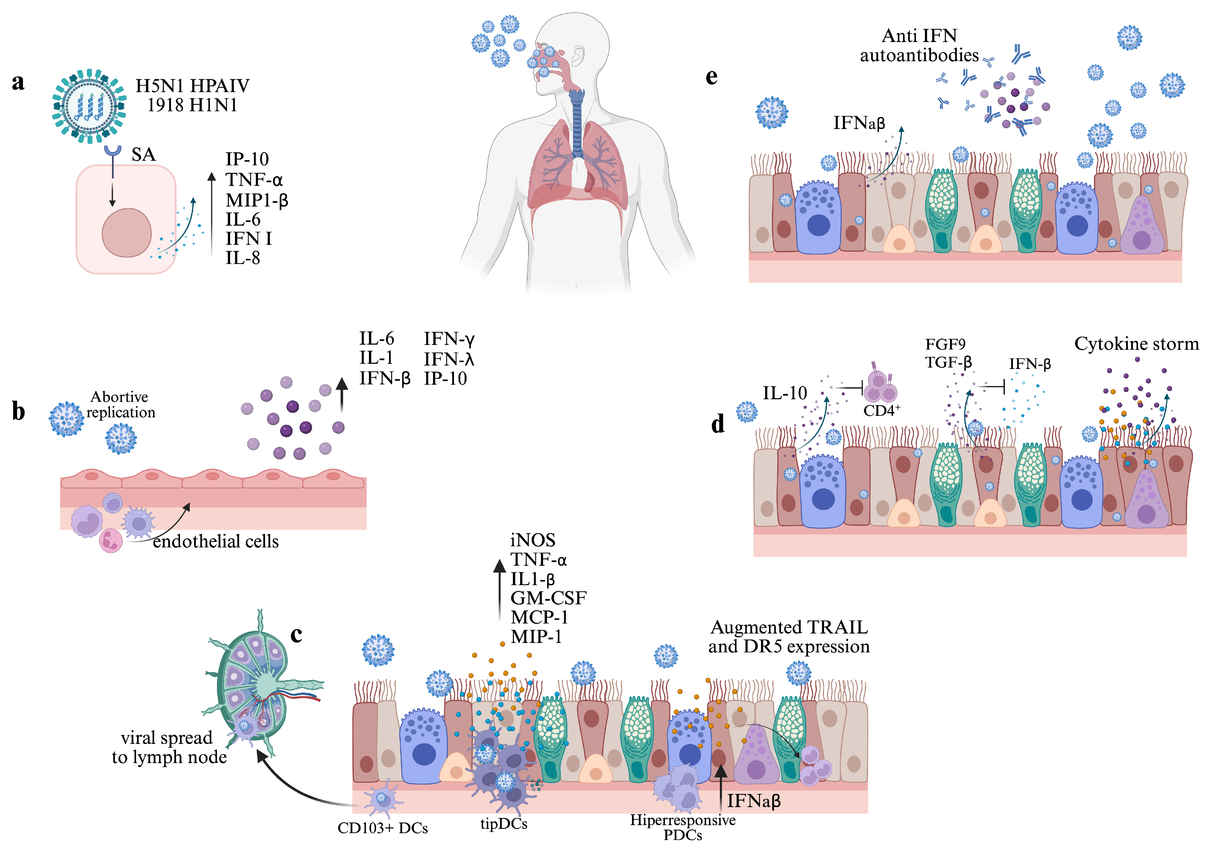 Viruses 17 00694 g002 Viruses 17 00694 g002