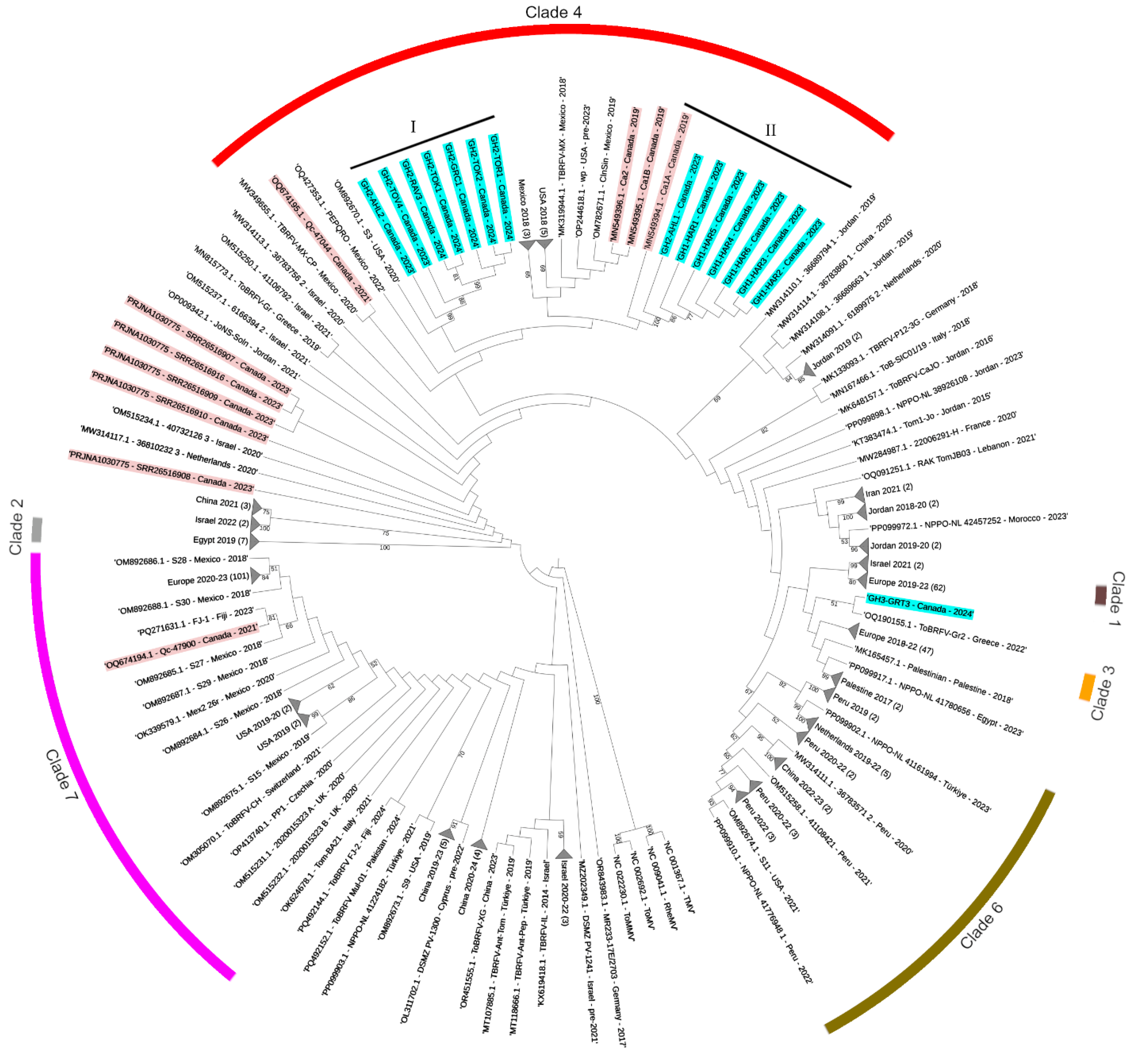 Viruses 17 00696 g002 Viruses 17 00696 g002