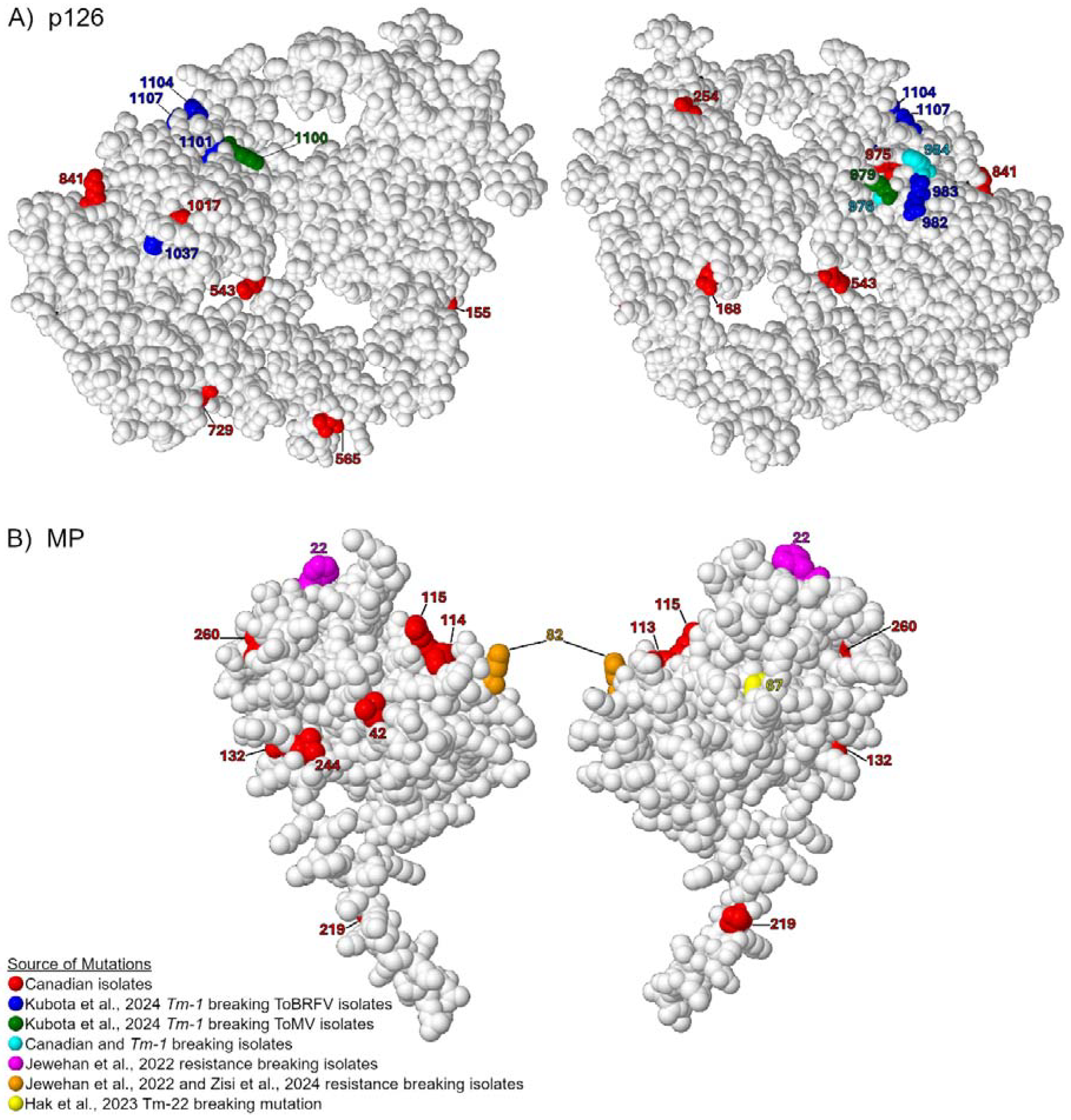 Viruses 17 00696 g005 Viruses 17 00696 g005