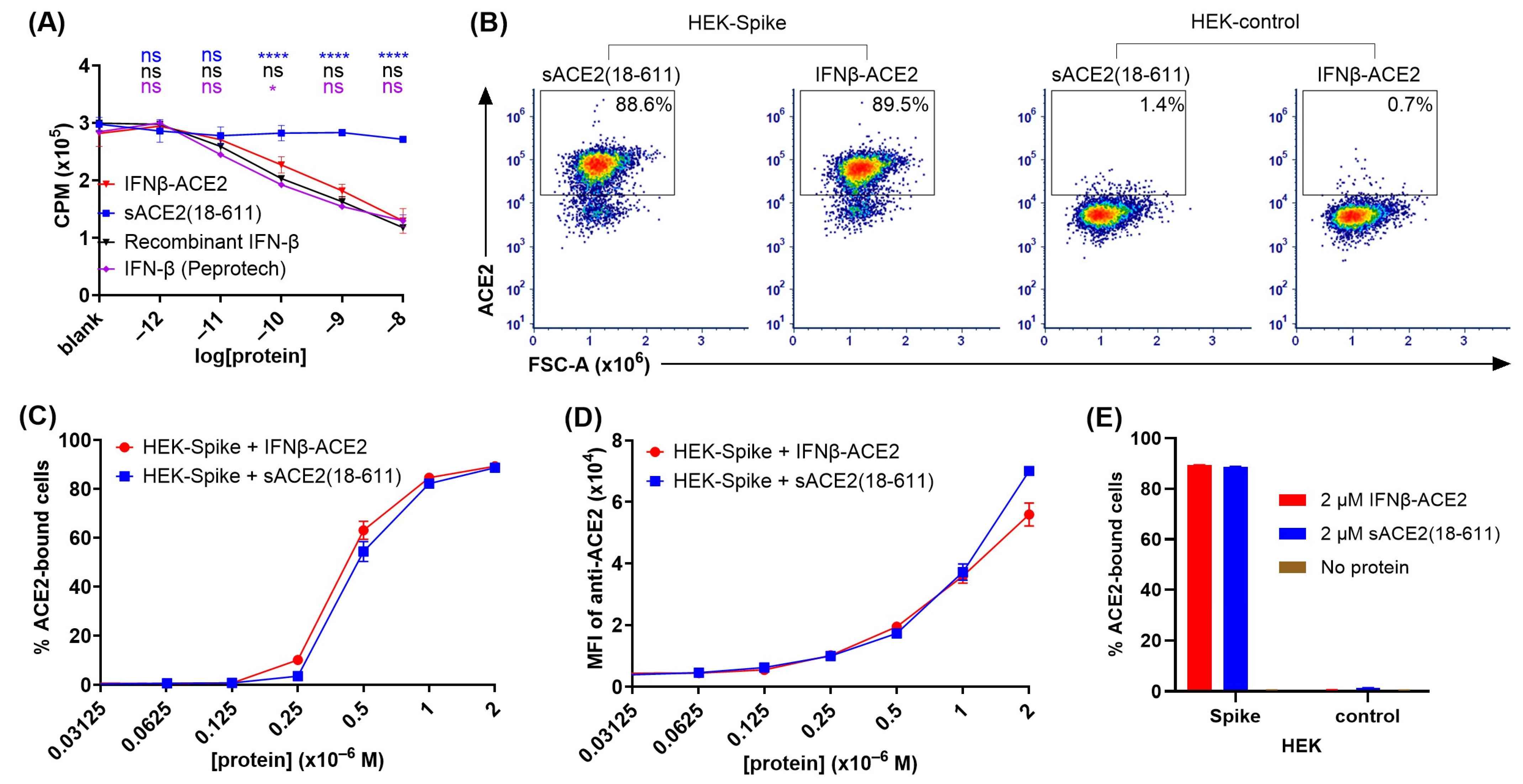 Viruses 17 00697 g002