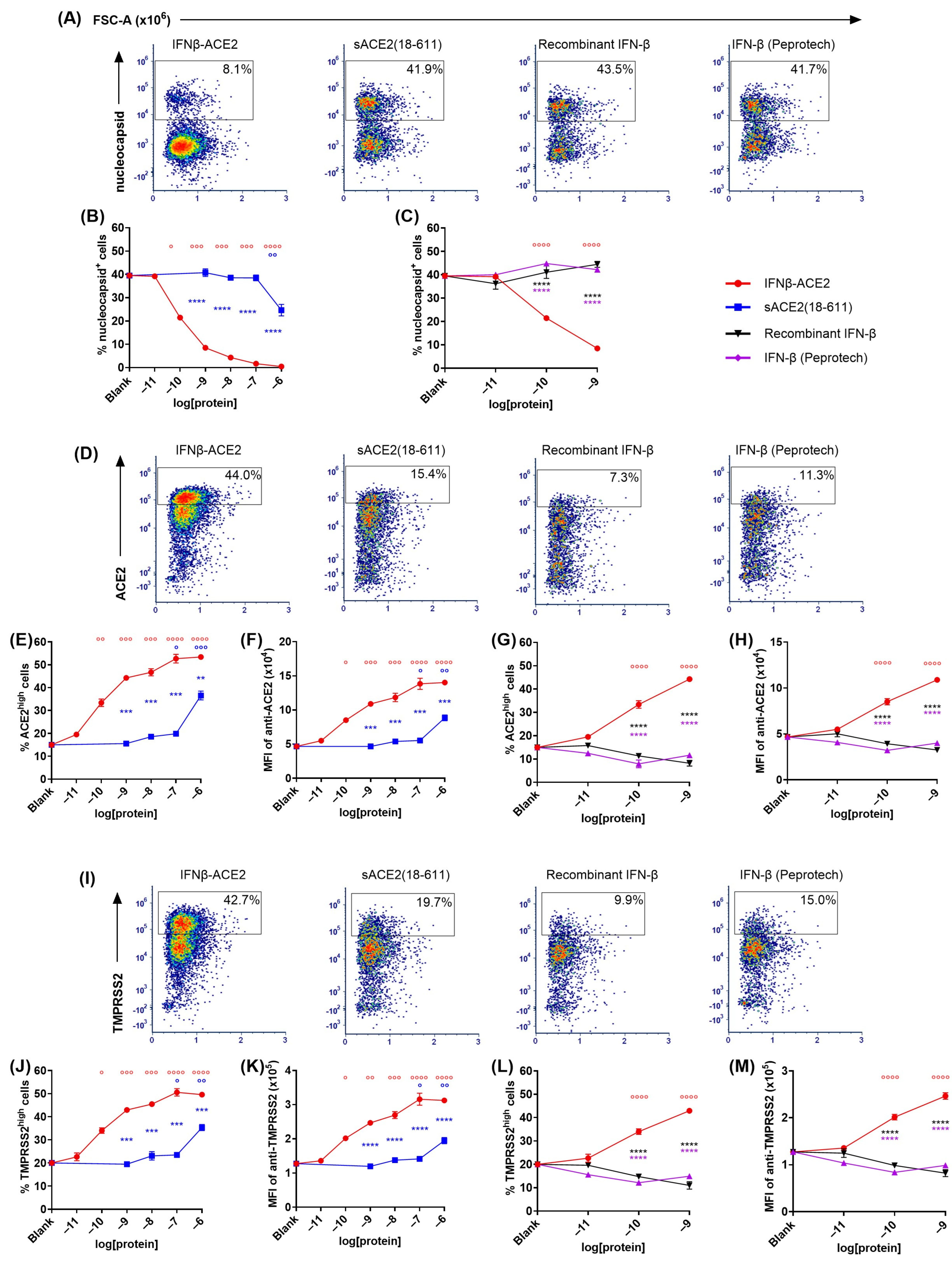 Viruses 17 00697 g003