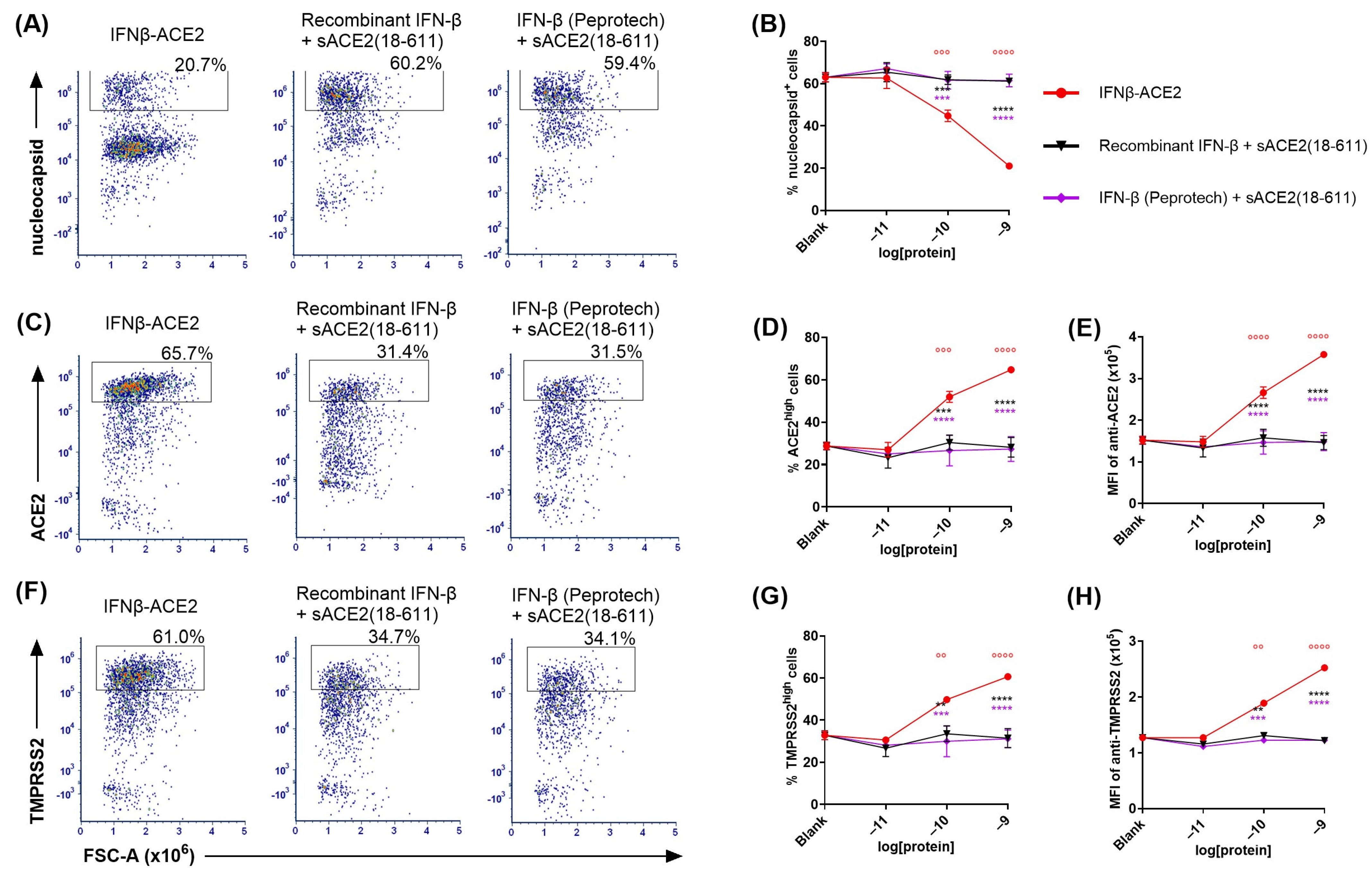 Viruses 17 00697 g004