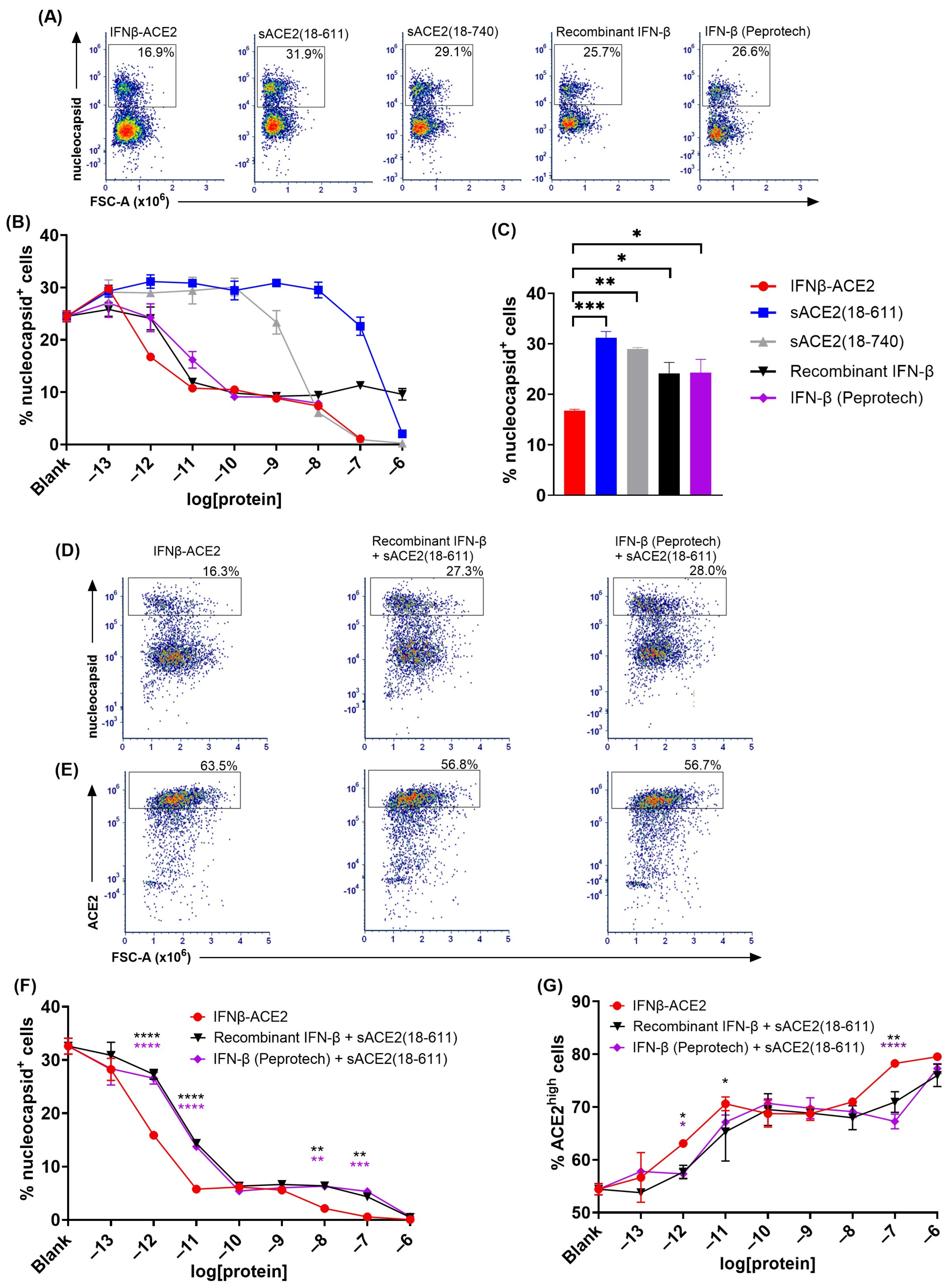 Viruses 17 00697 g005
