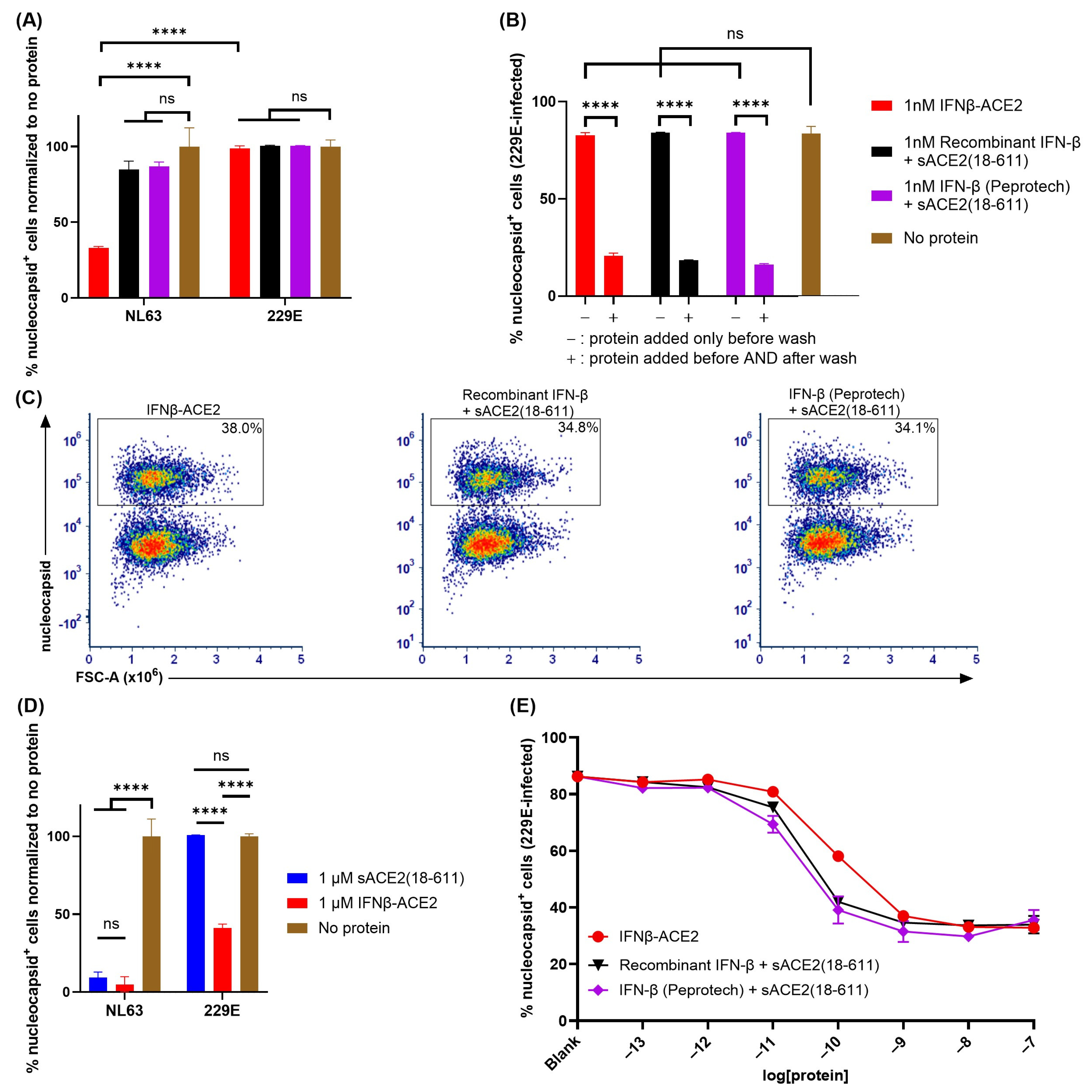 Viruses 17 00697 g006