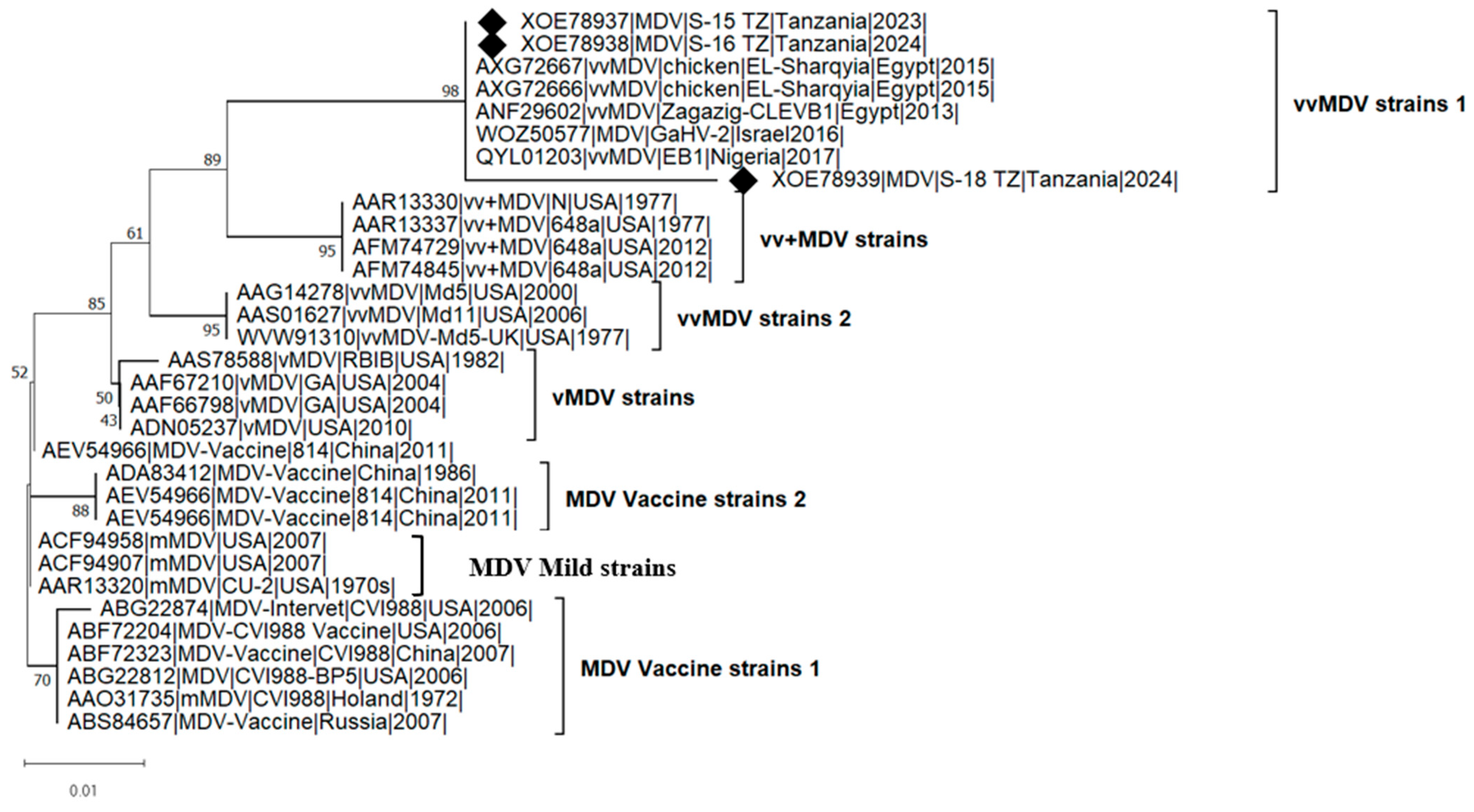 Viruses 17 00698 g002