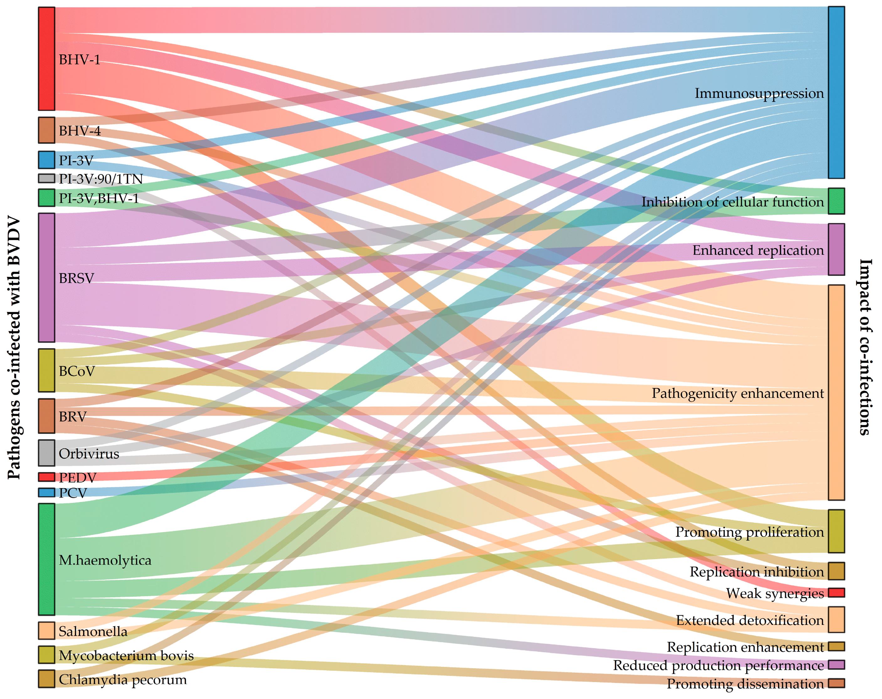 Viruses 17 00700 g001 Viruses 17 00700 g001