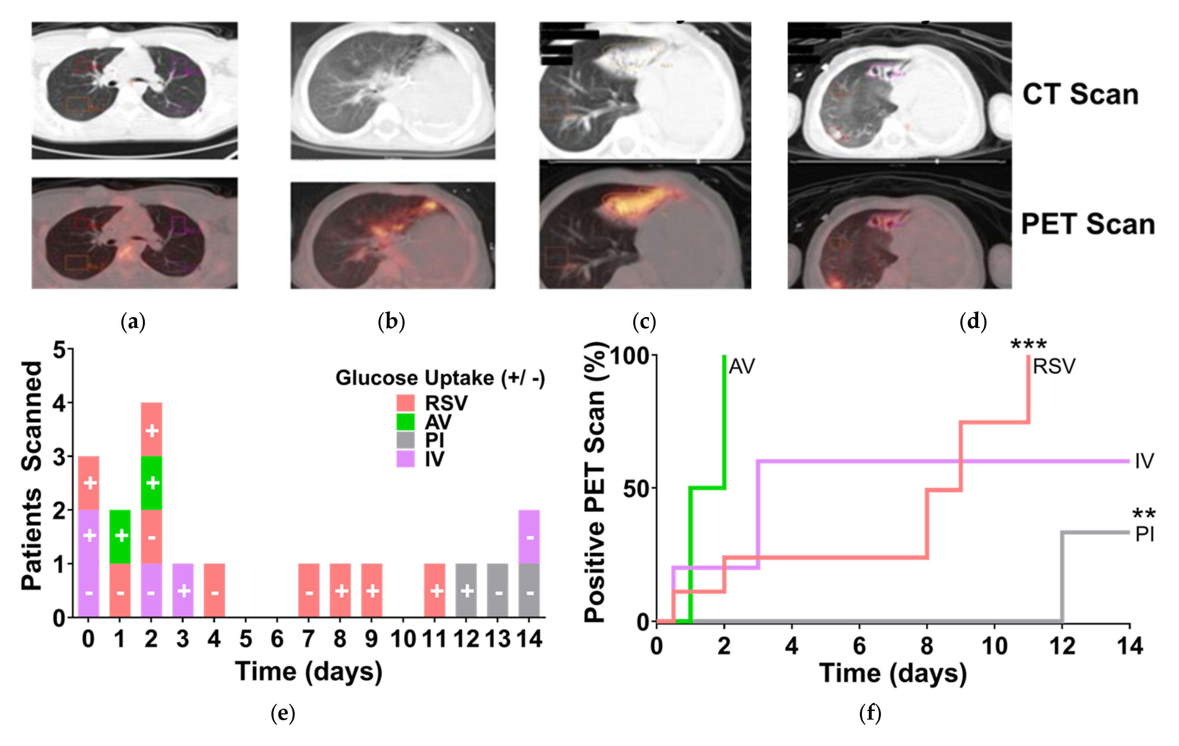 Viruses 17 00703 g001