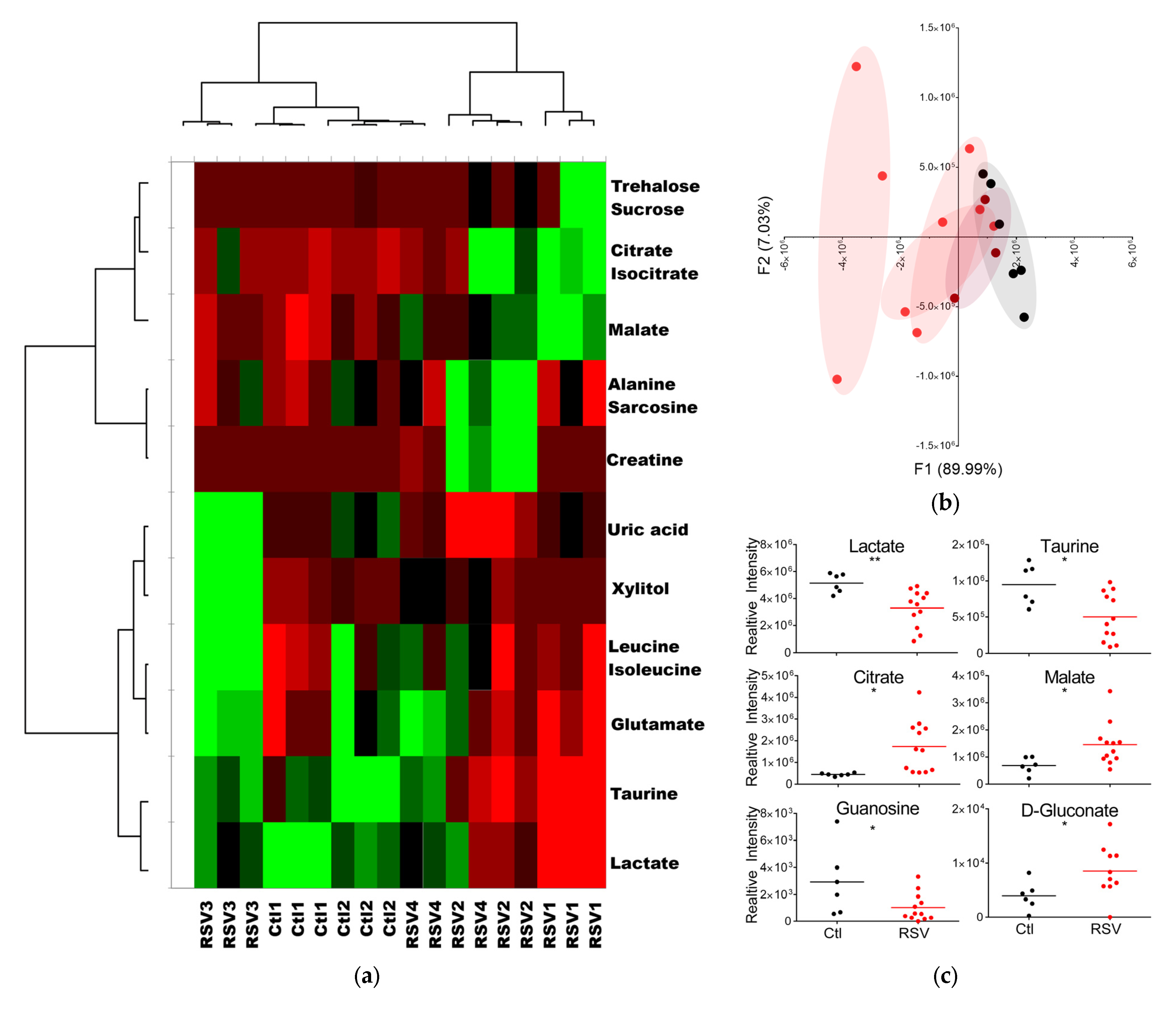 Viruses 17 00703 g002
