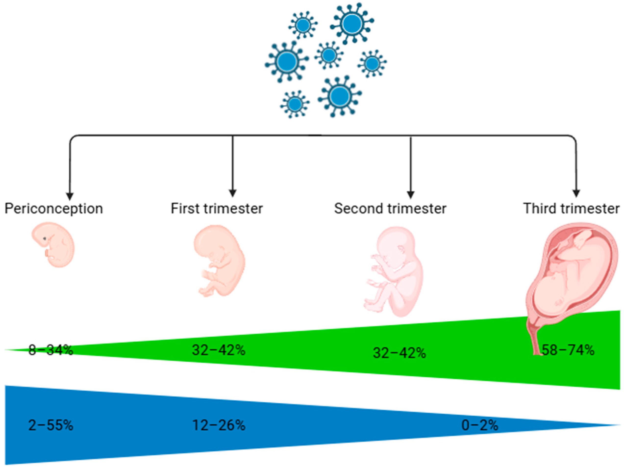 Viruses 17 00705 g001