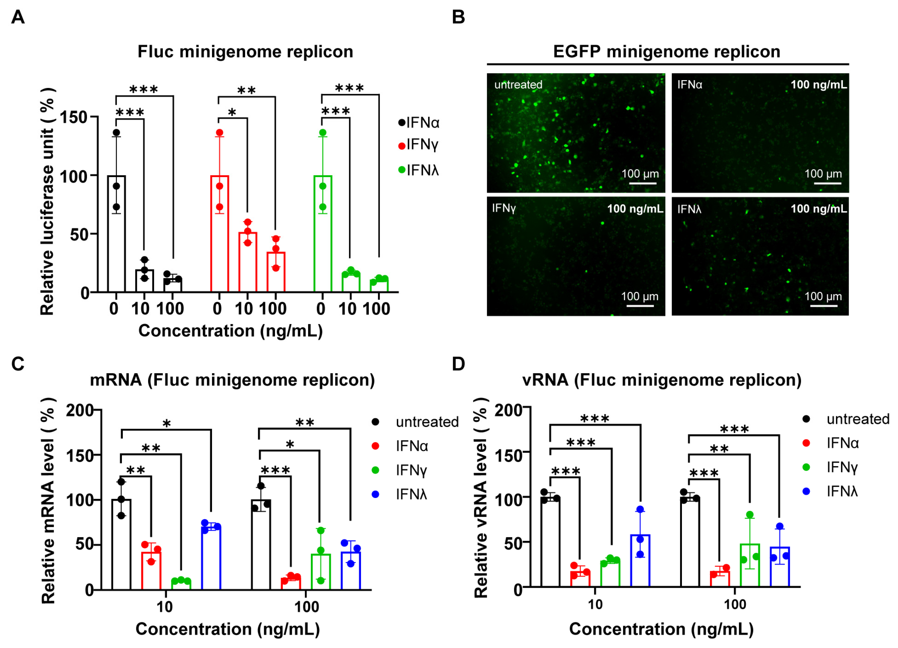 Viruses 17 00707 g005