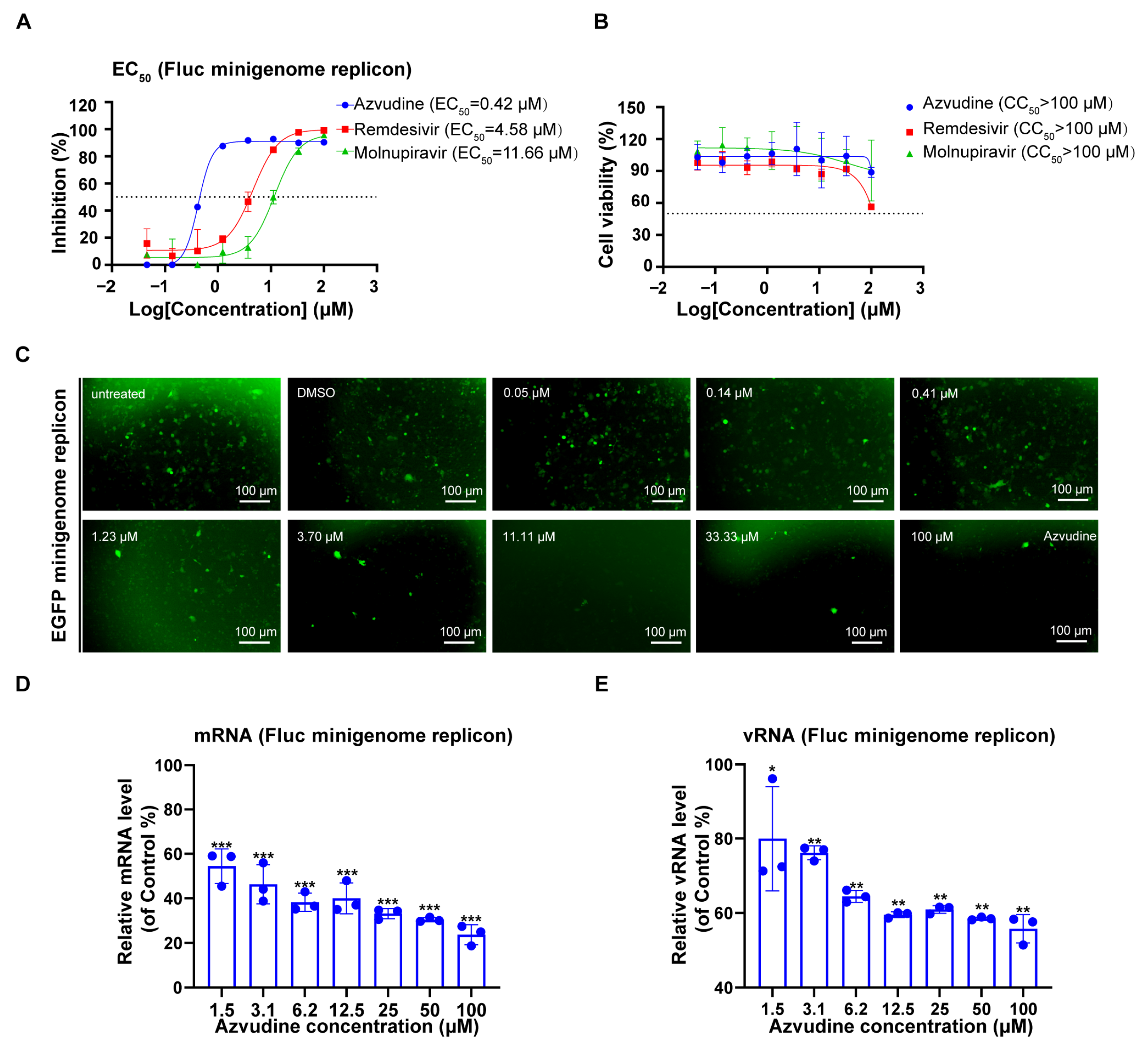 Viruses 17 00707 g006