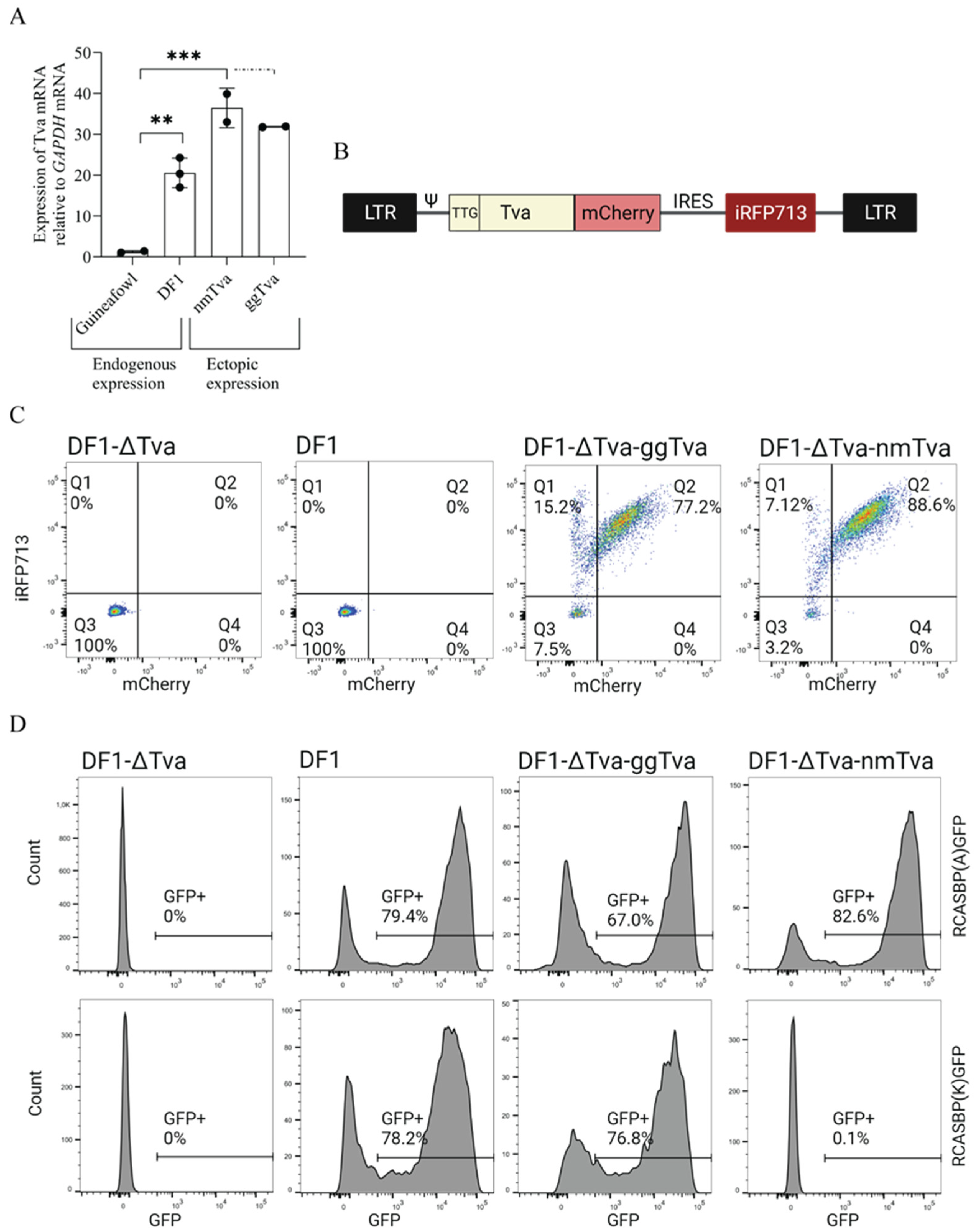 Viruses 17 00709 g001