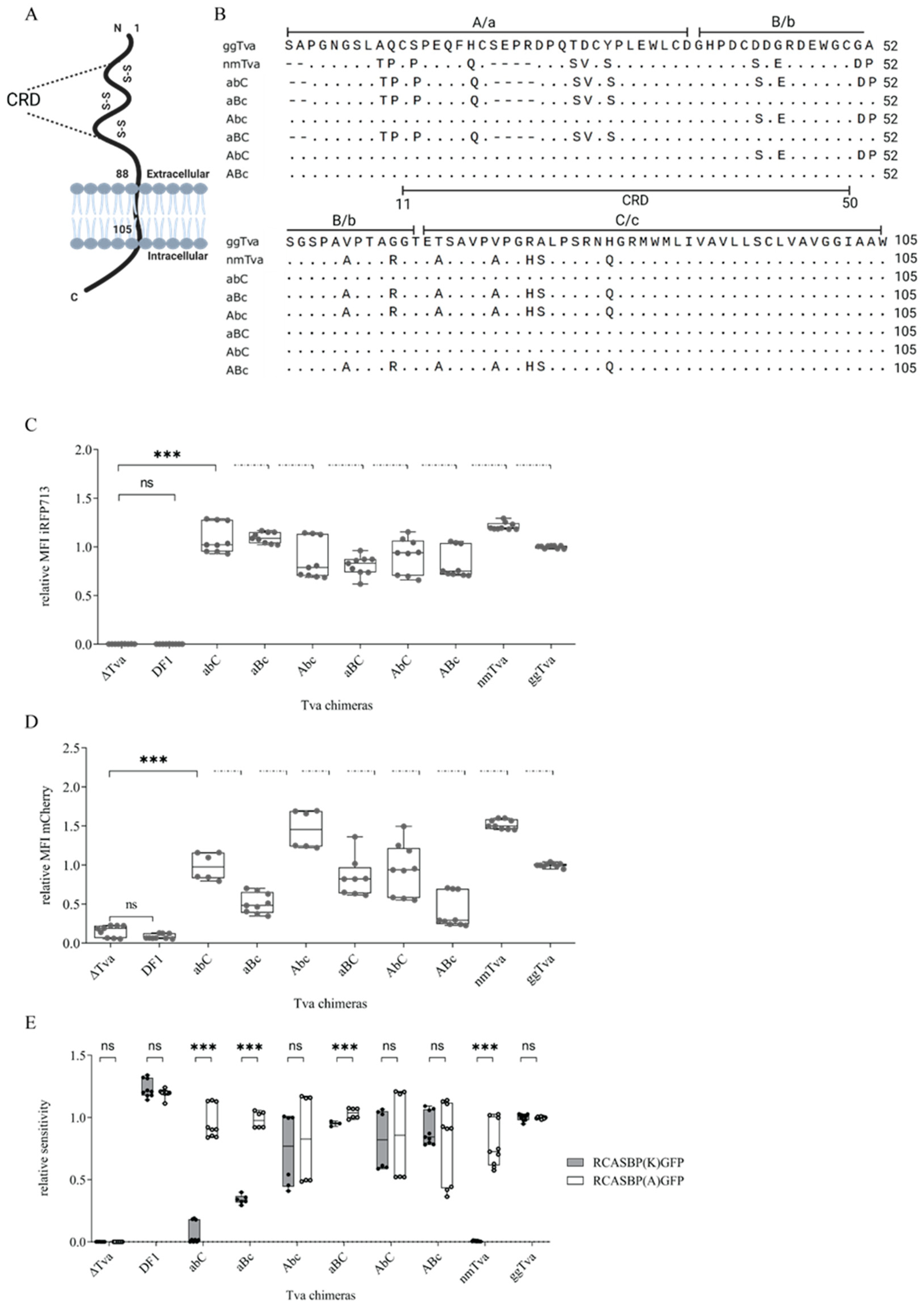Viruses 17 00709 g002