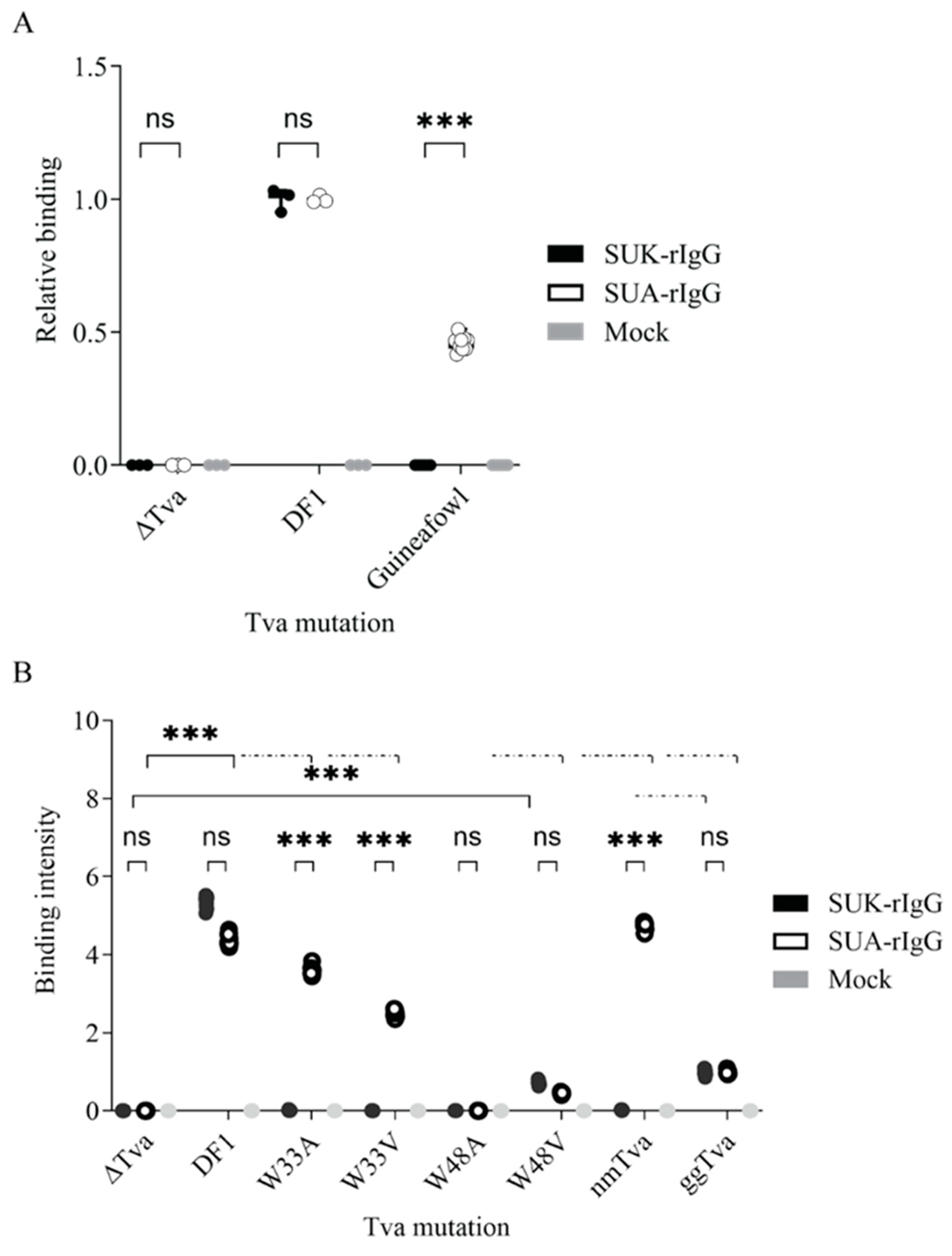 Viruses 17 00709 g005