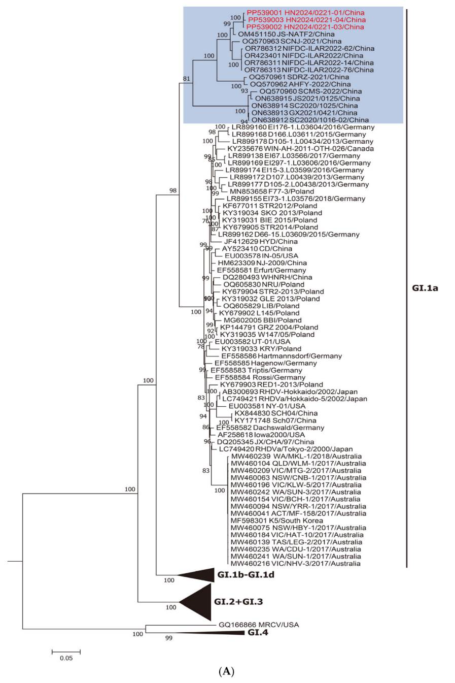 Viruses 17 00710 g001a