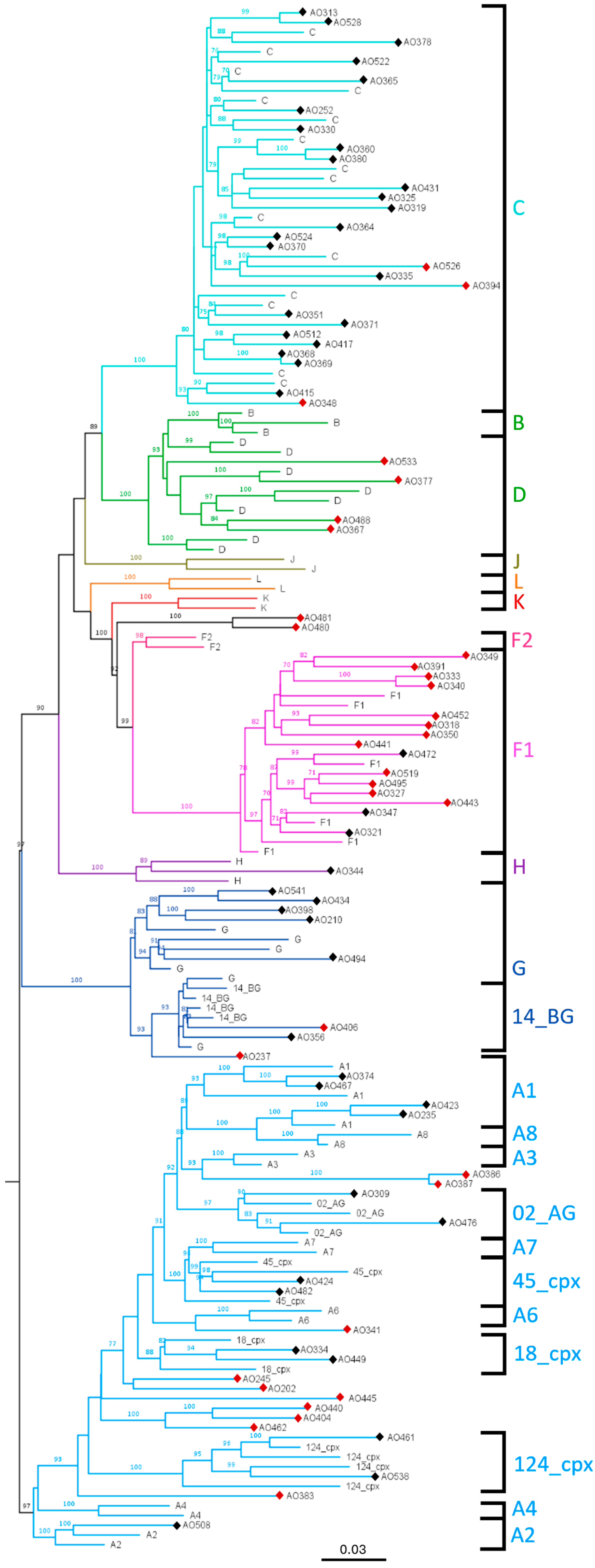 Viruses 17 00711 g001