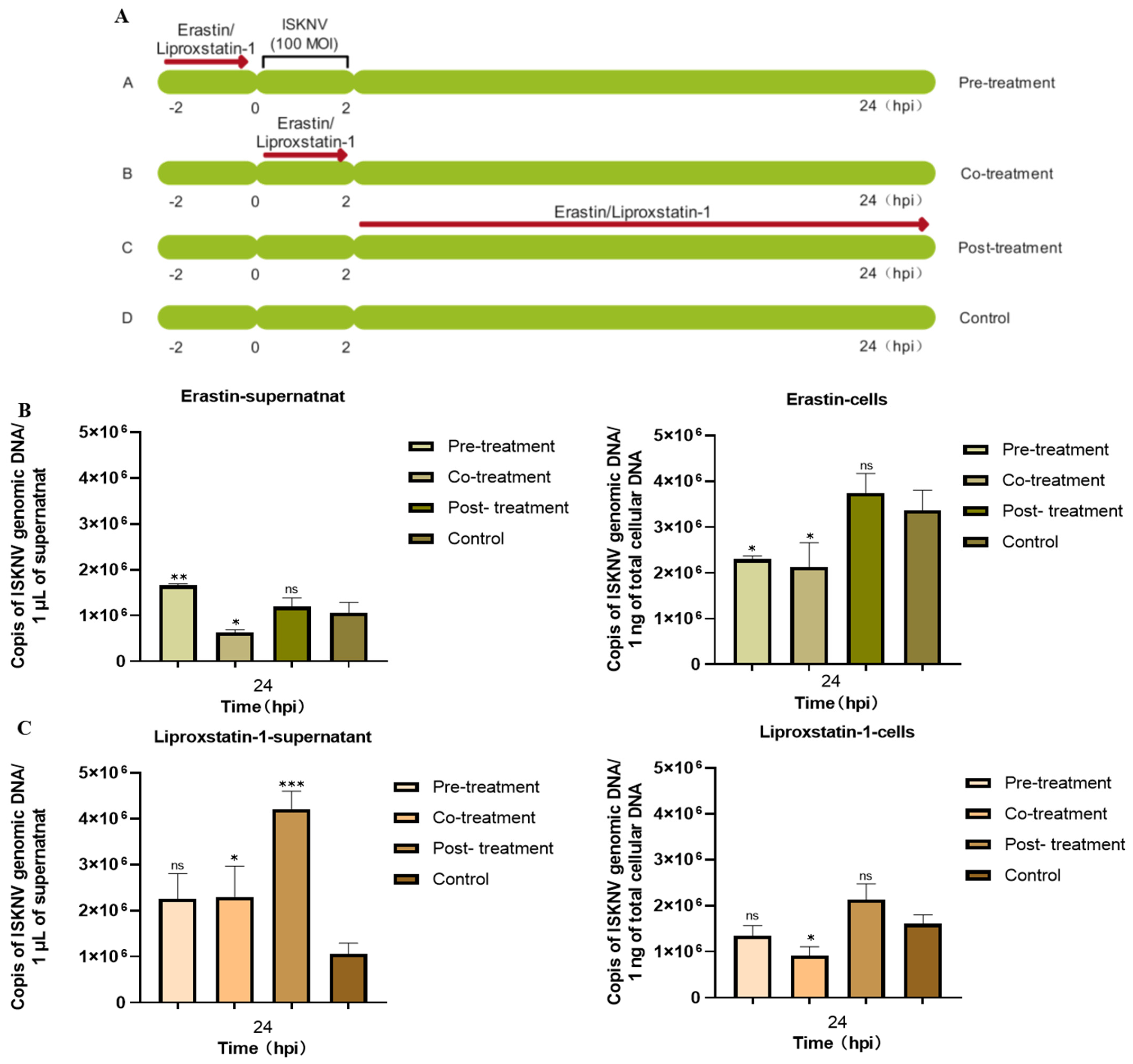 Viruses 17 00713 g005