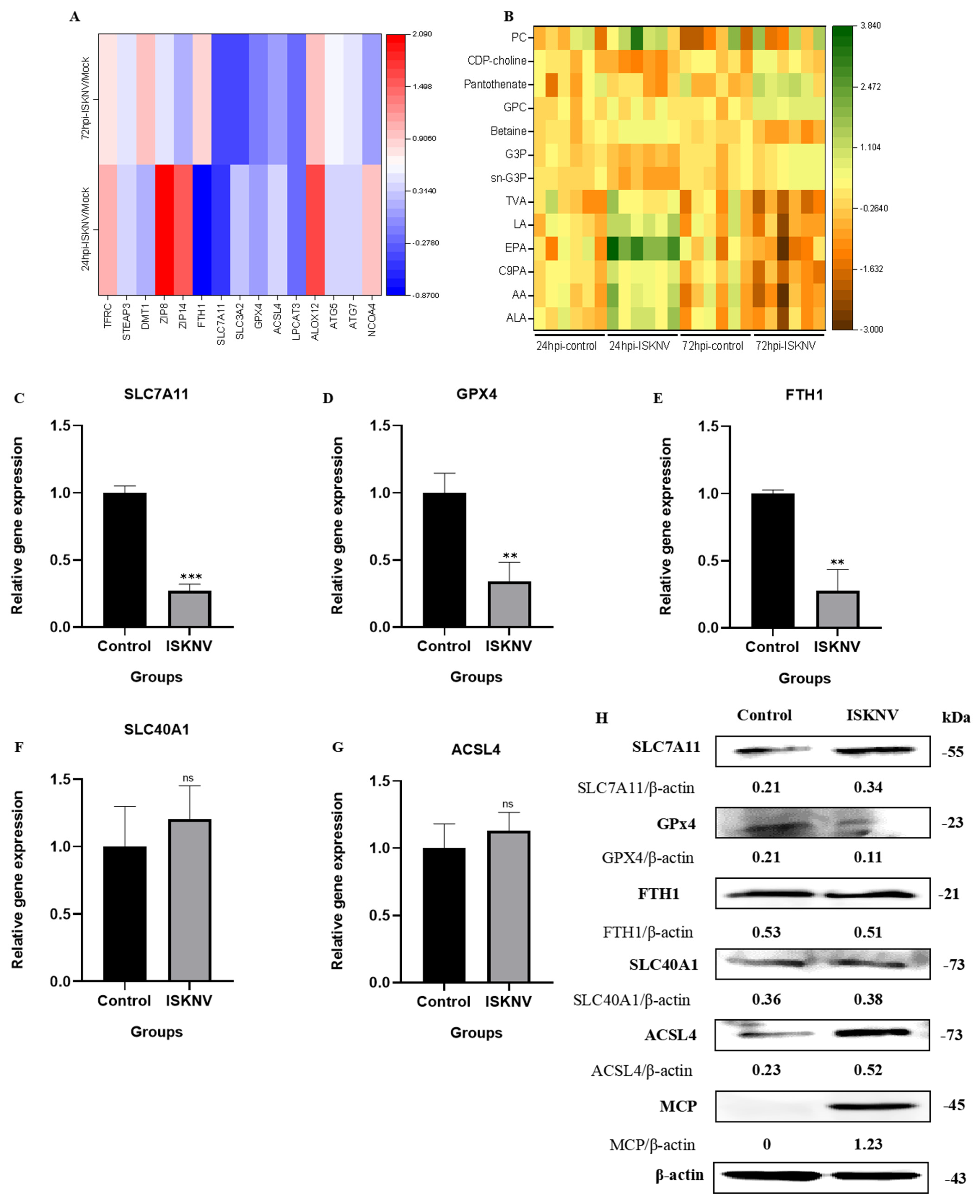 Viruses 17 00713 g007
