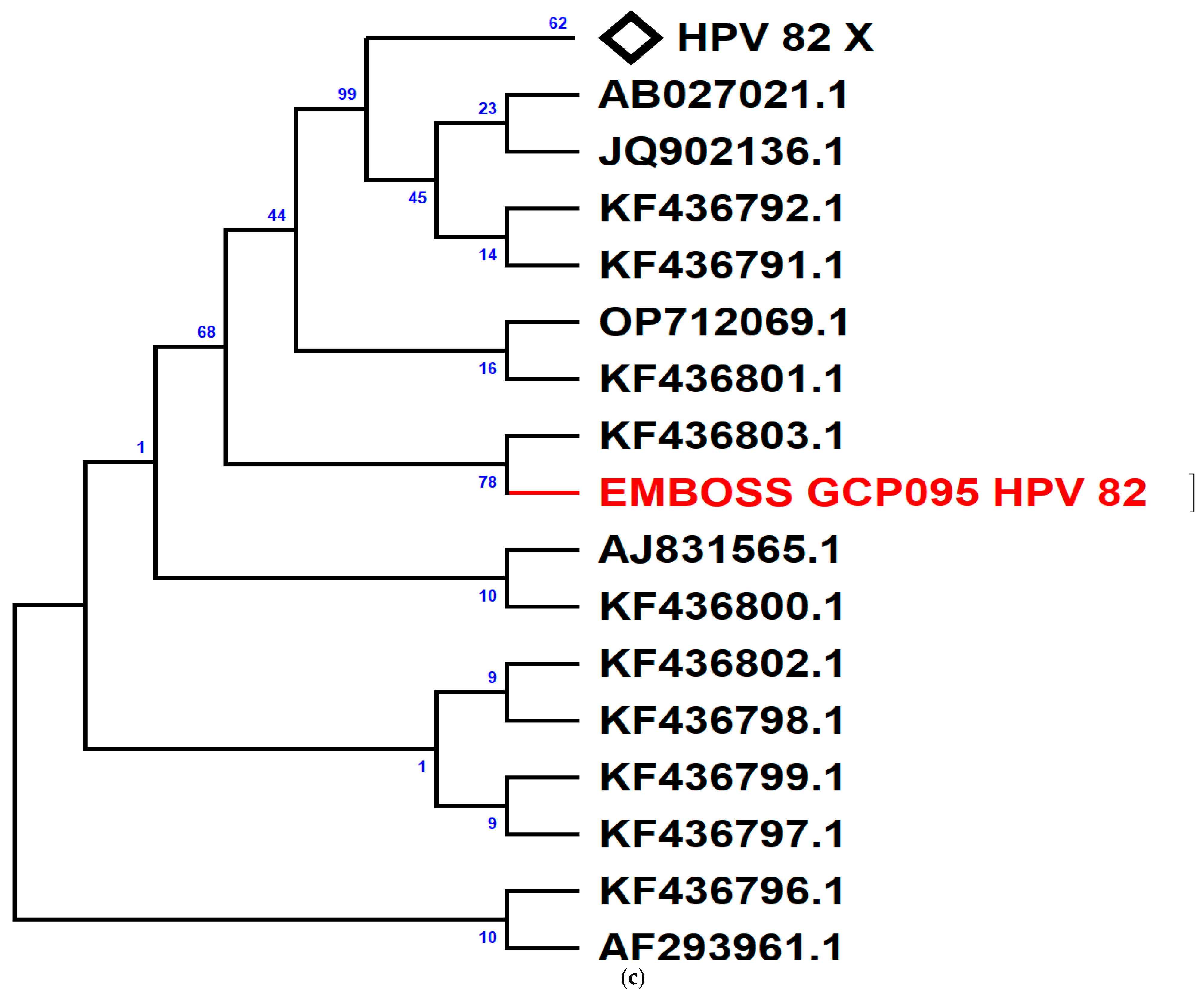 Viruses 17 00714 g002c