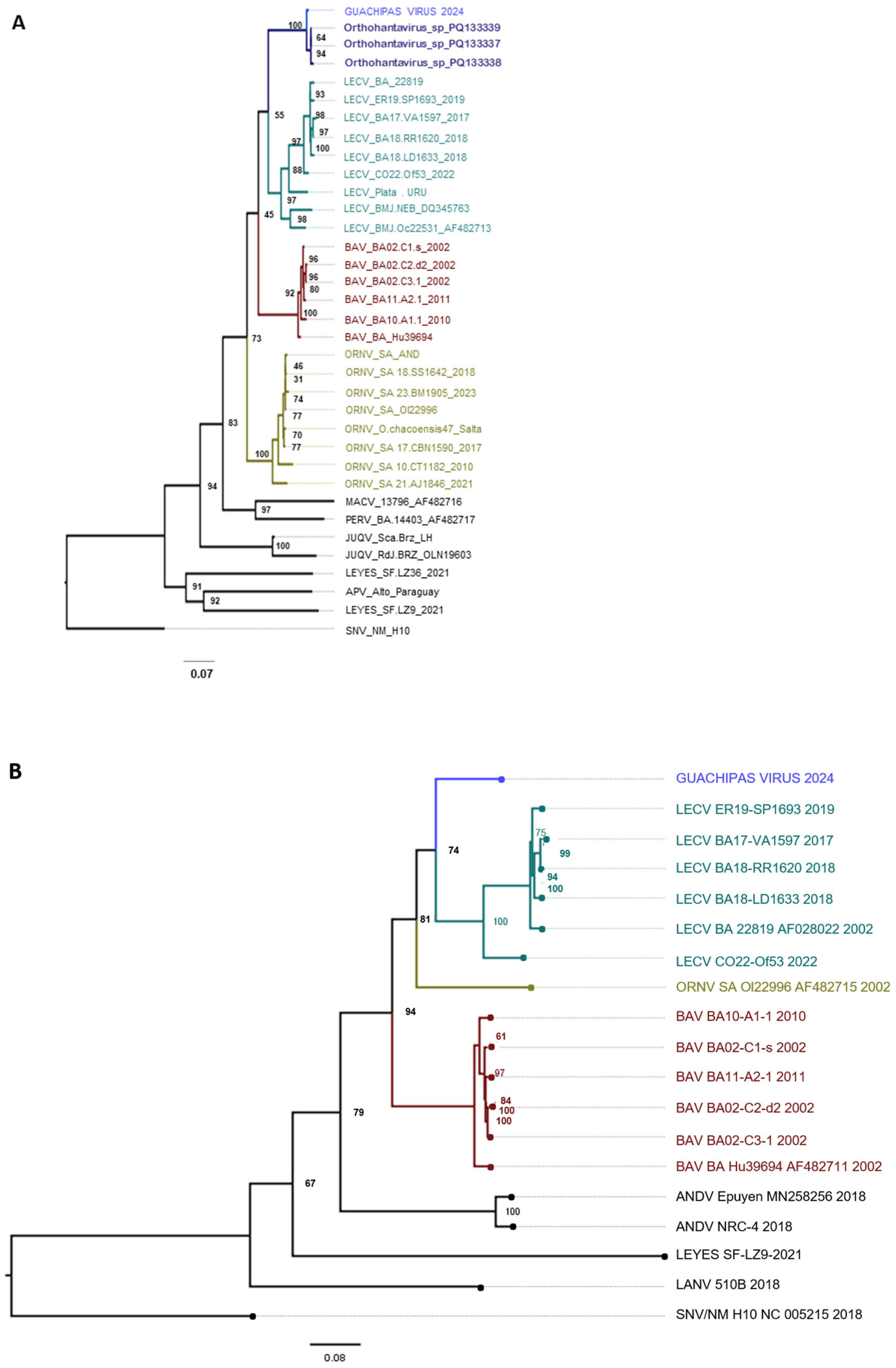 Viruses 17 00717 g002