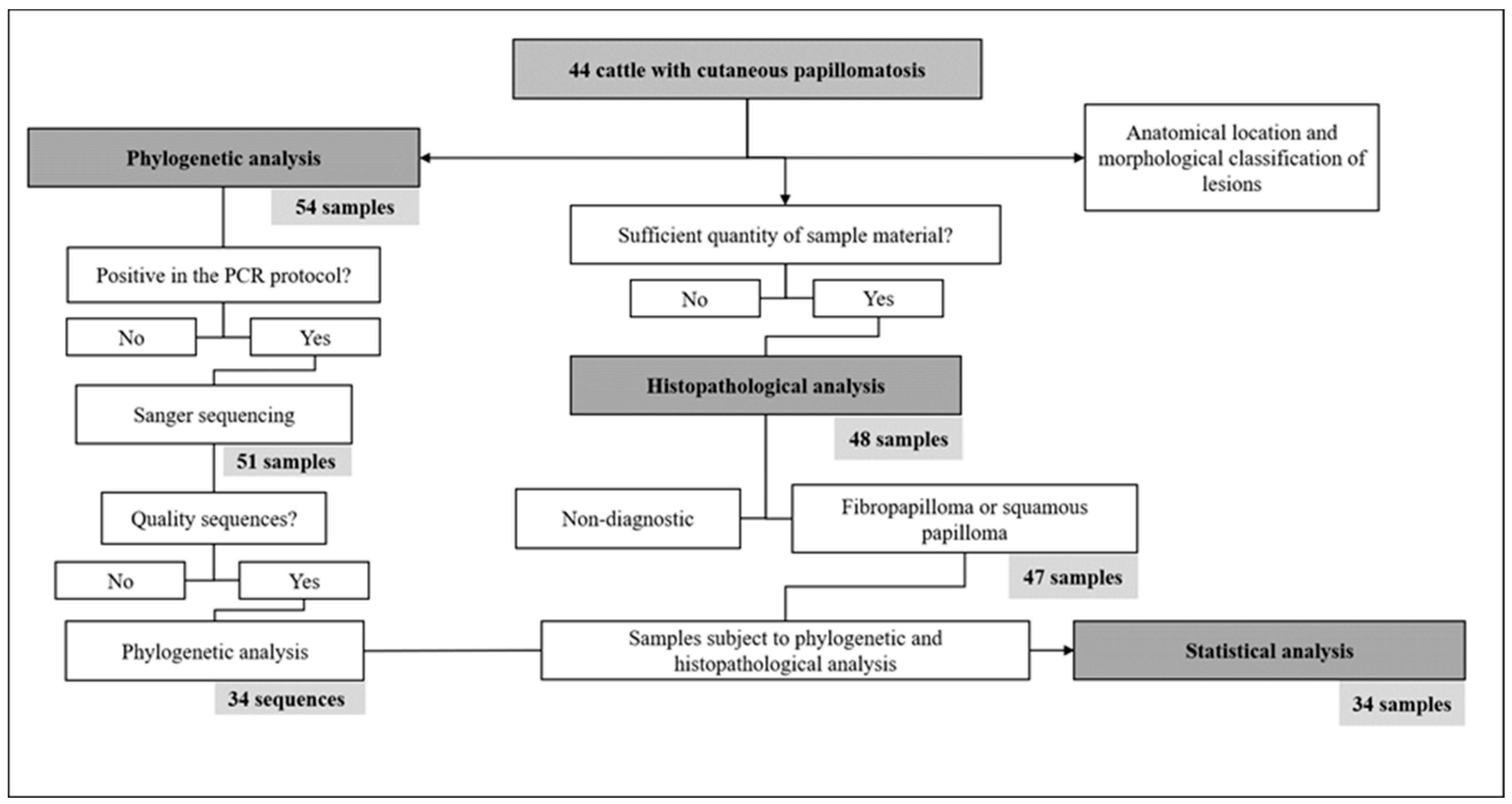 Viruses 17 00719 g001