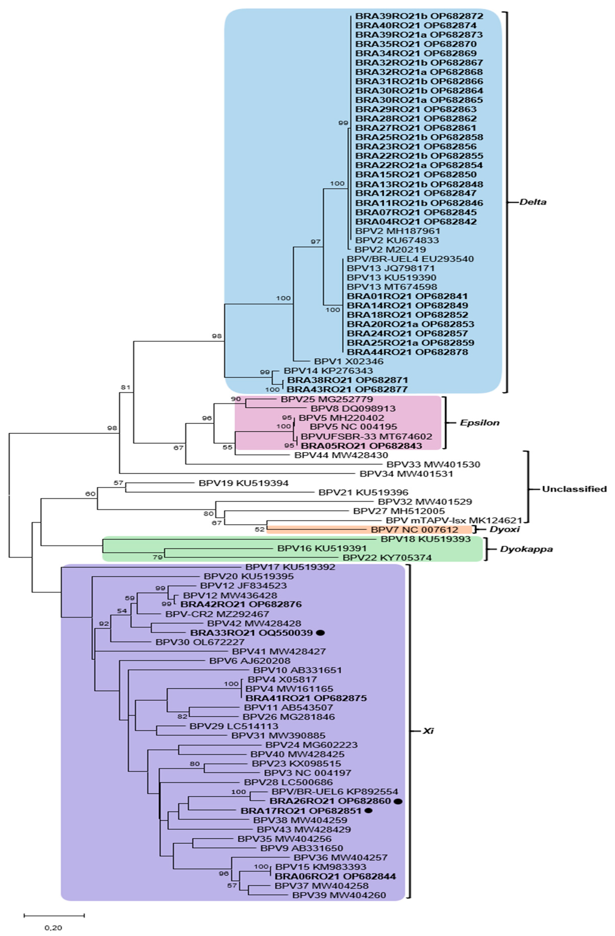 Viruses 17 00719 g002