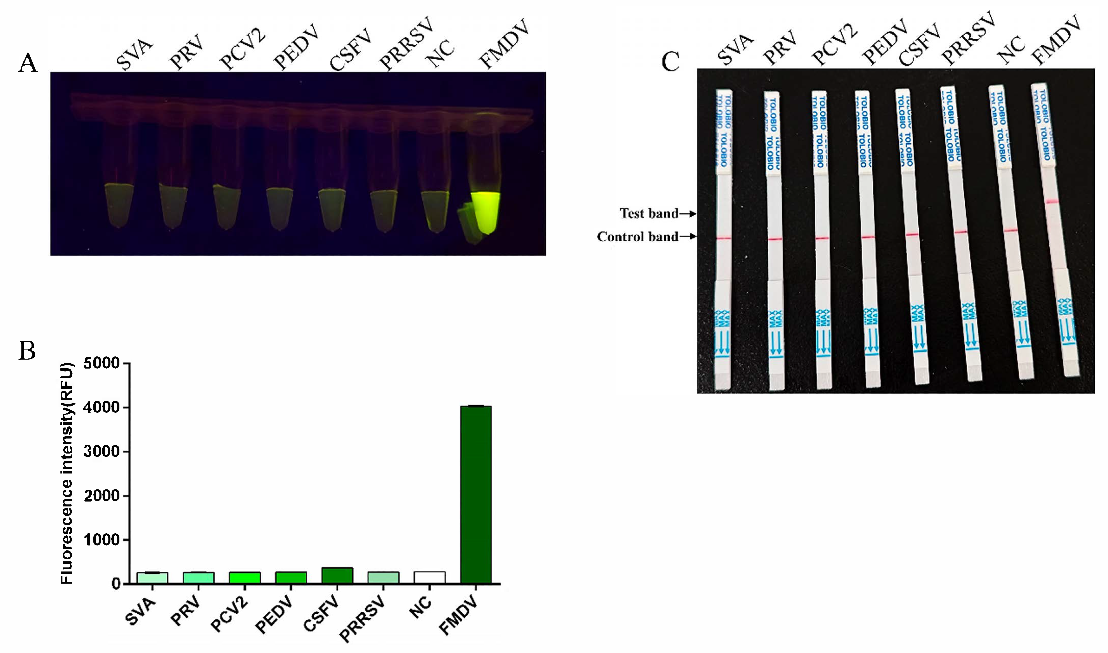 Viruses 17 00721 g004