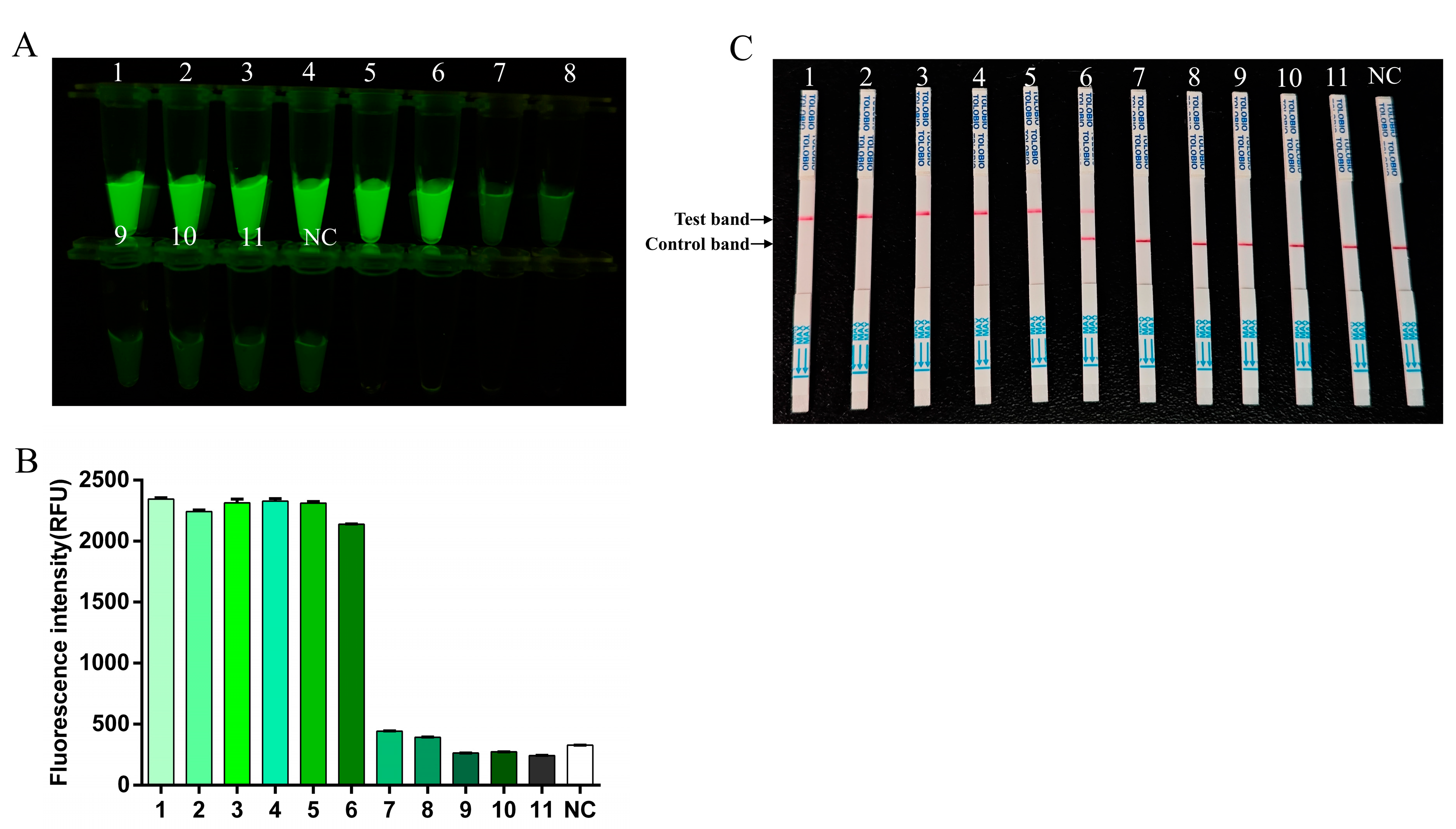 Viruses 17 00721 g005